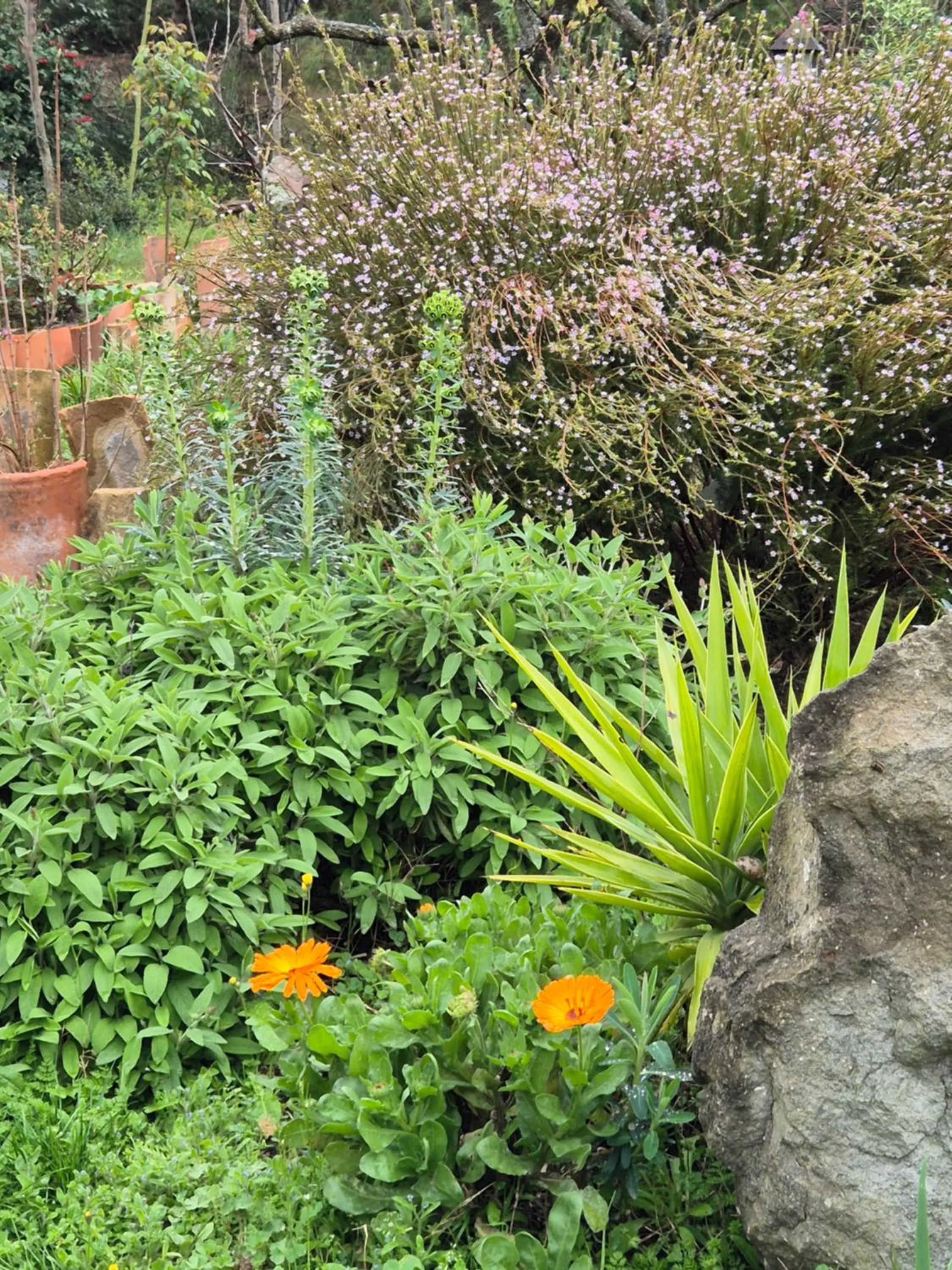 Spring in Bel Hotel Restaurant la Gentilhommière