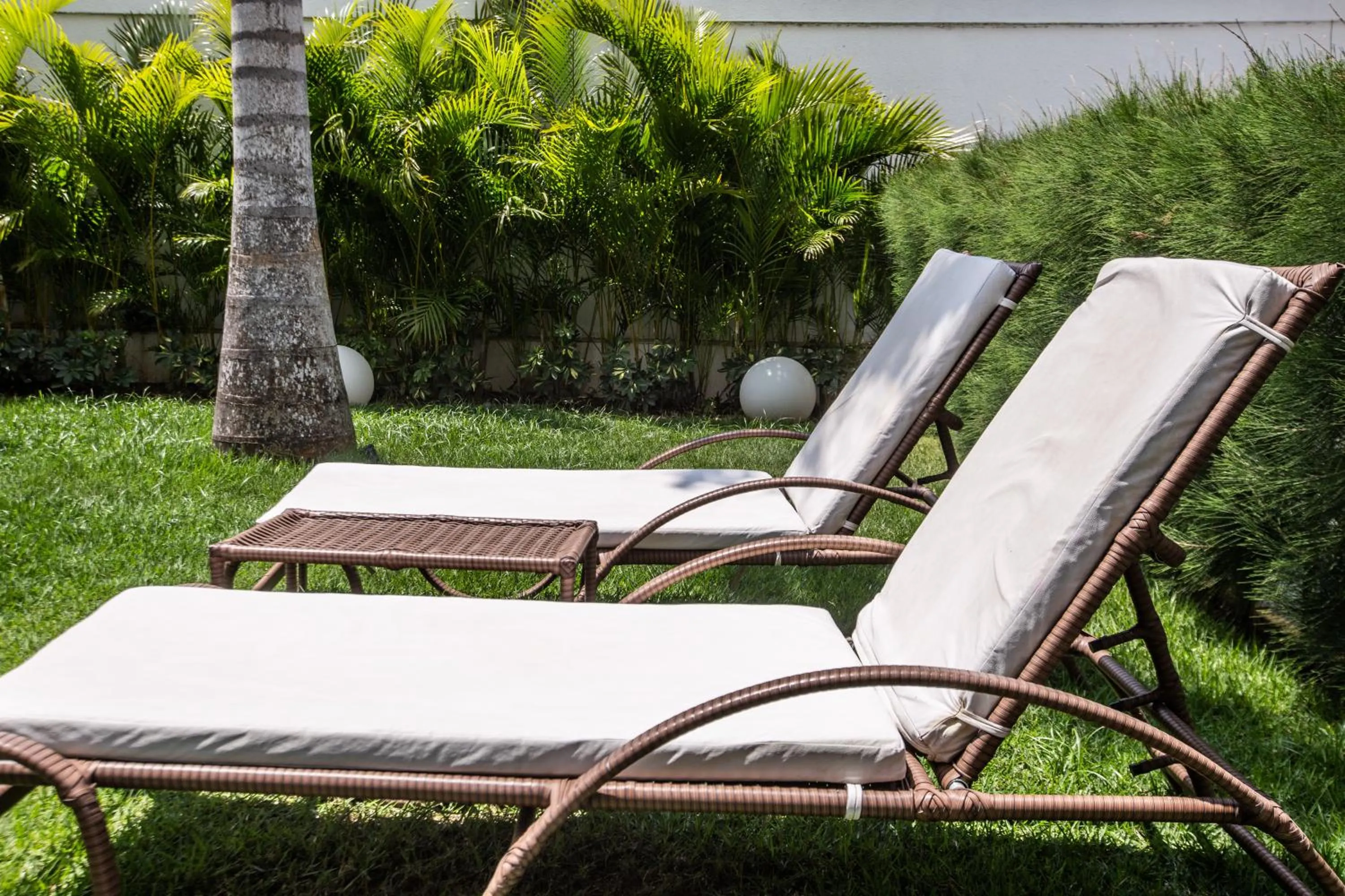 Garden in VM Hotel Cumbuco