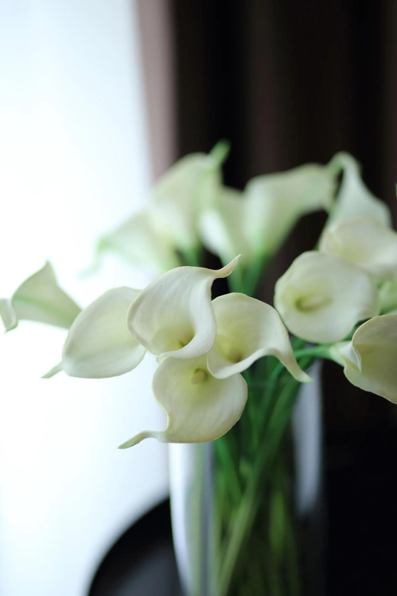 Decorative detail in Stelle Hotel The Businest