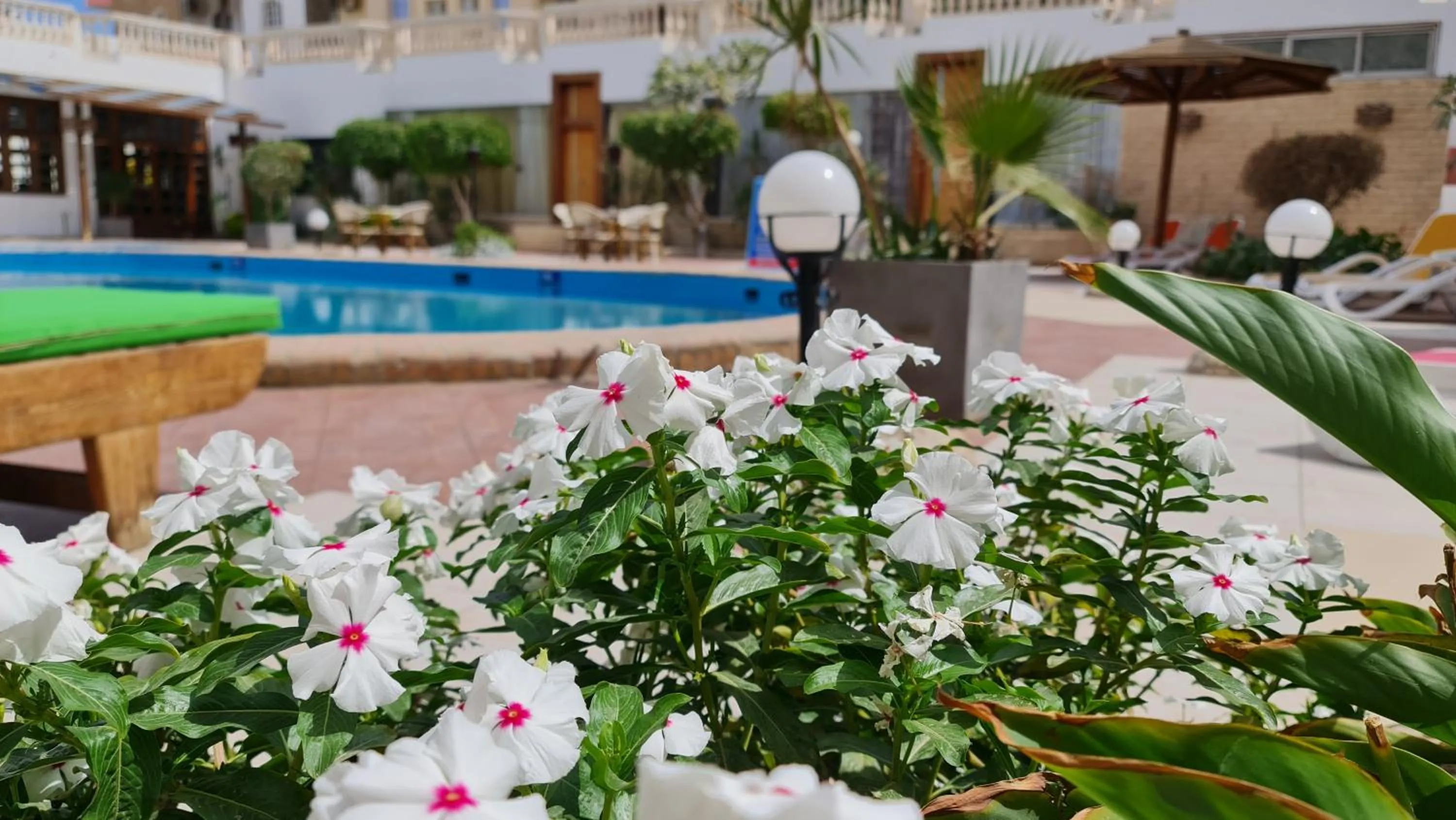 Swimming pool in Zak Inn