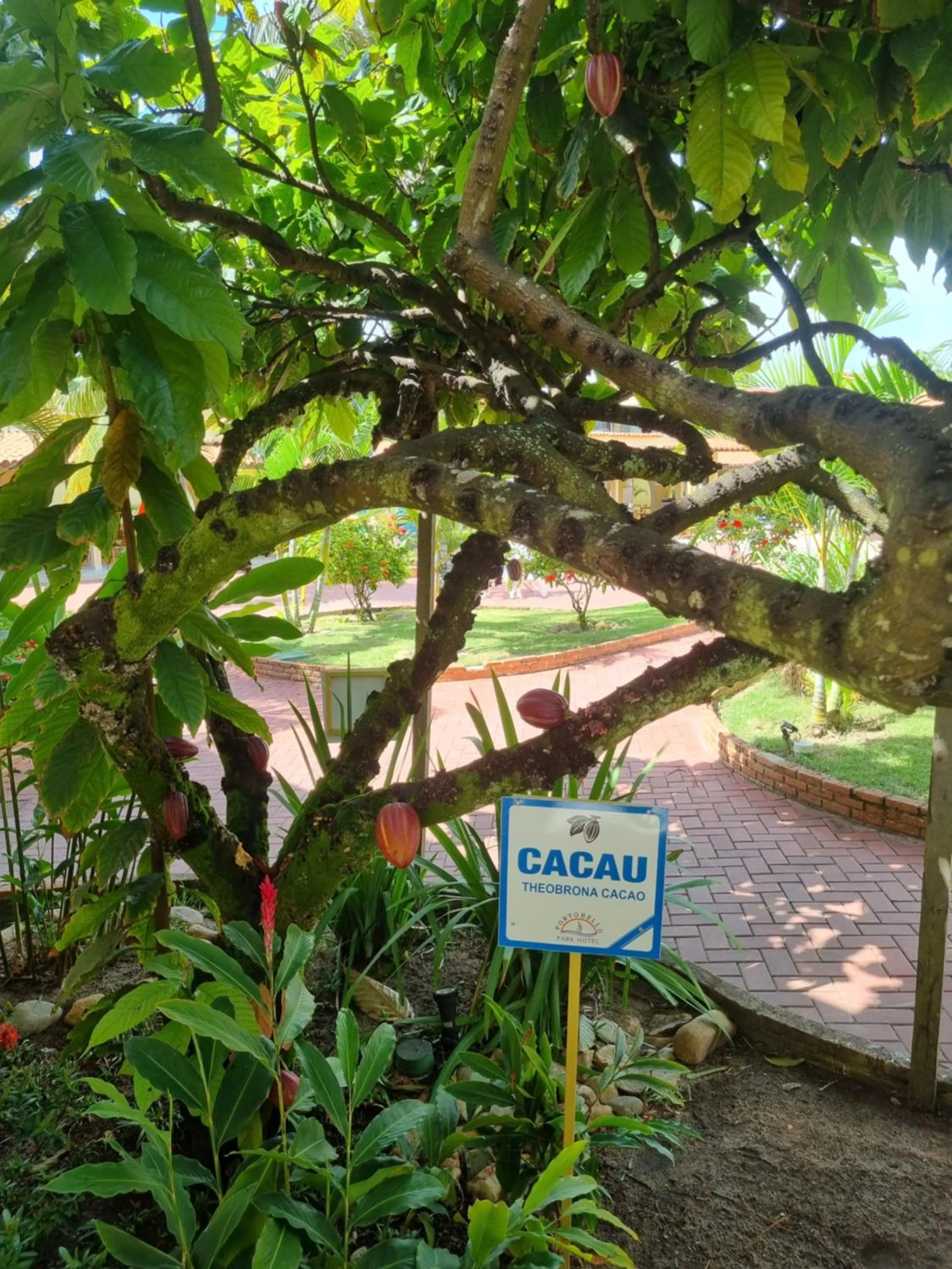 Garden in LC TEMPORADAS PORTOBELLO PARK HOTEL