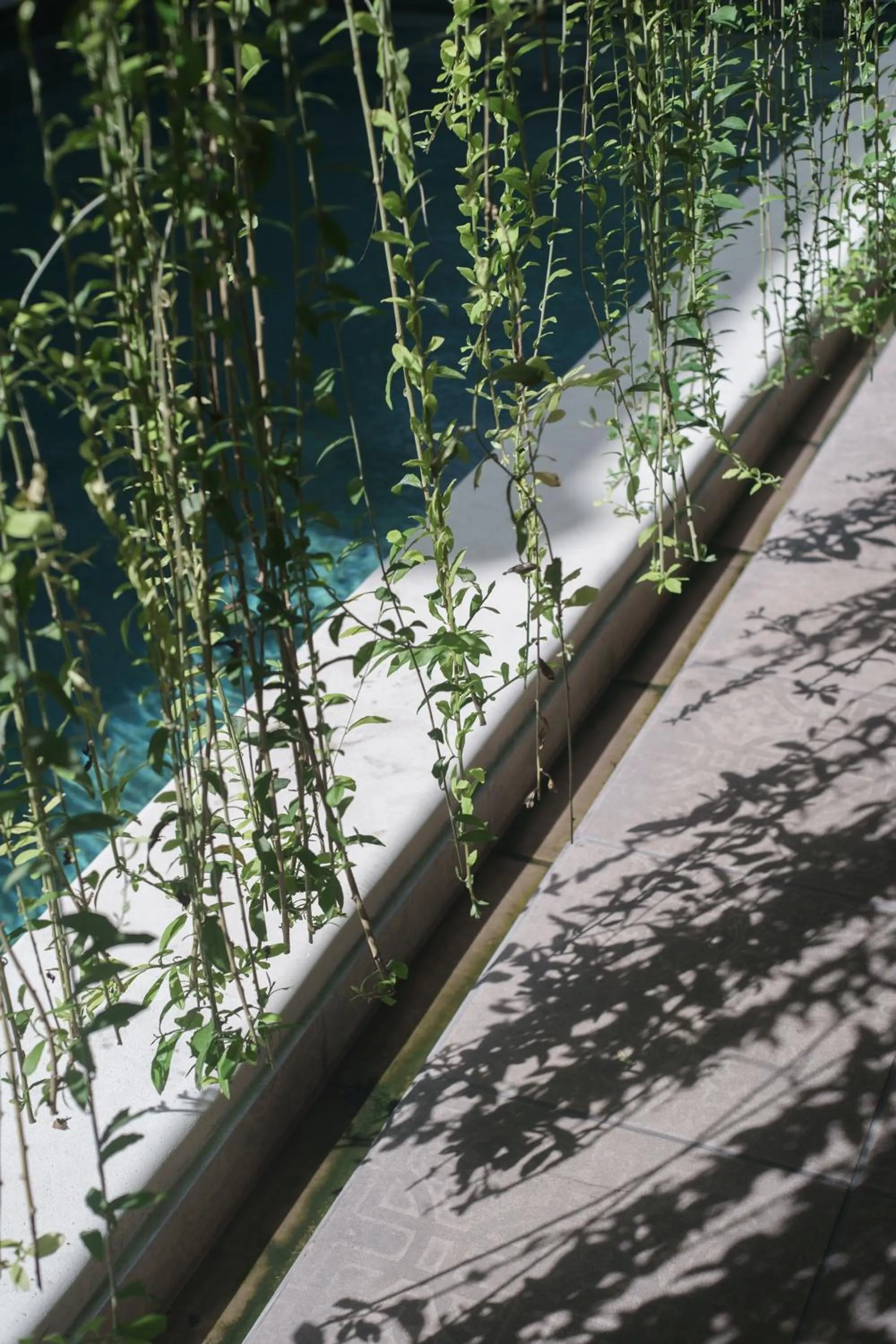 Swimming pool in Malam Hari ApartHotel