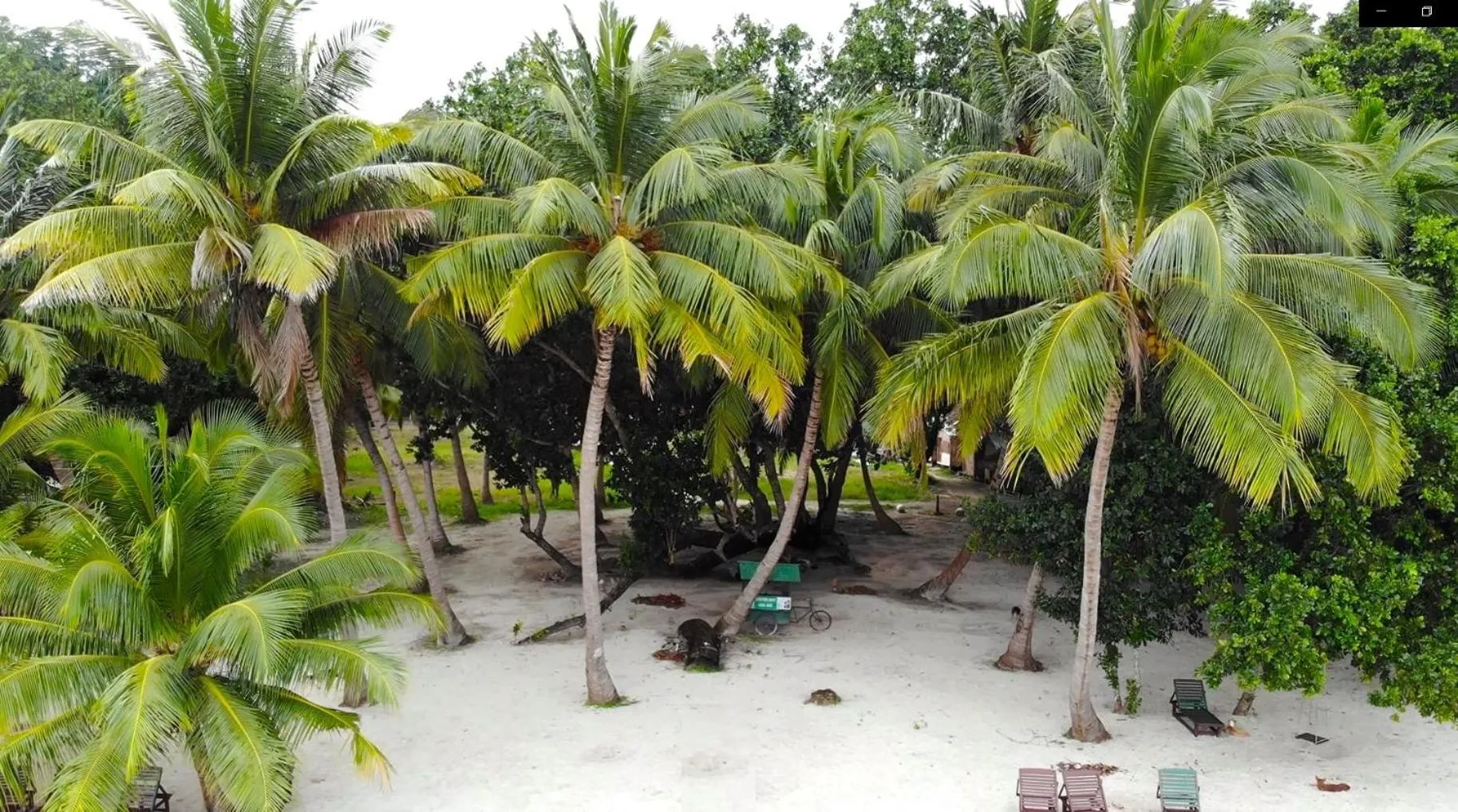 Beach in Lemon Grass Resort & Spa