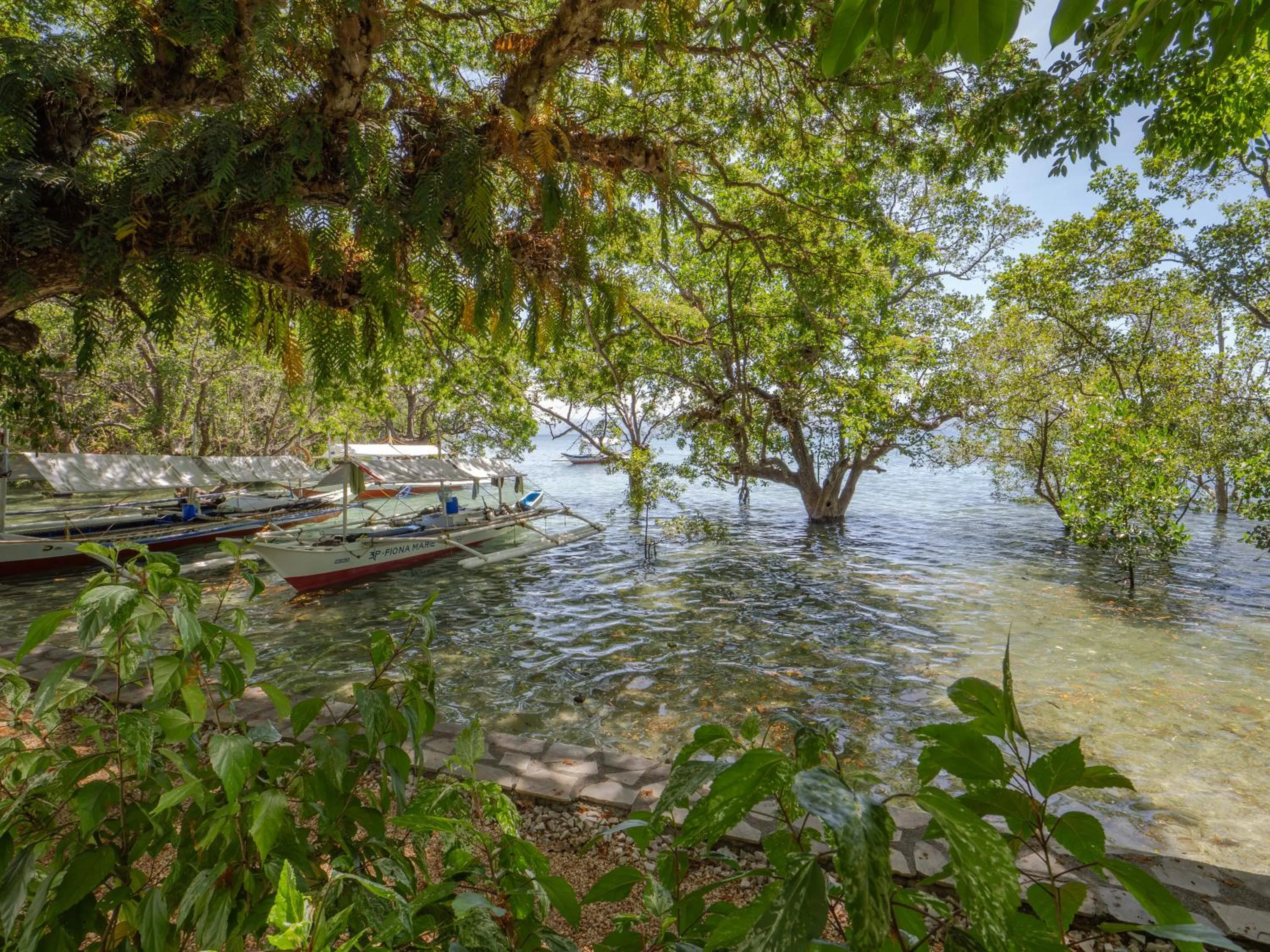 Sea view in The Three P Beach Resort & Dive Center