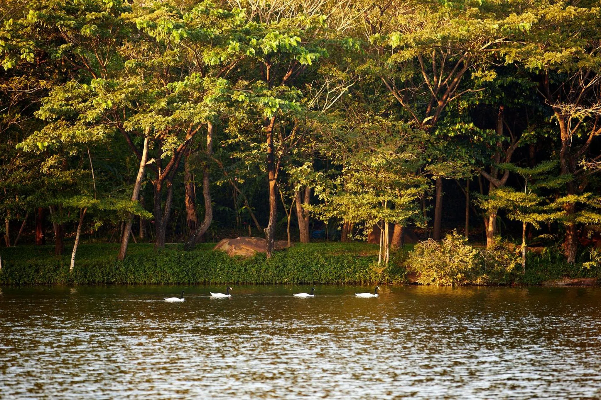 Natural landscape in InterContinental Khao Yai Resort by IHG