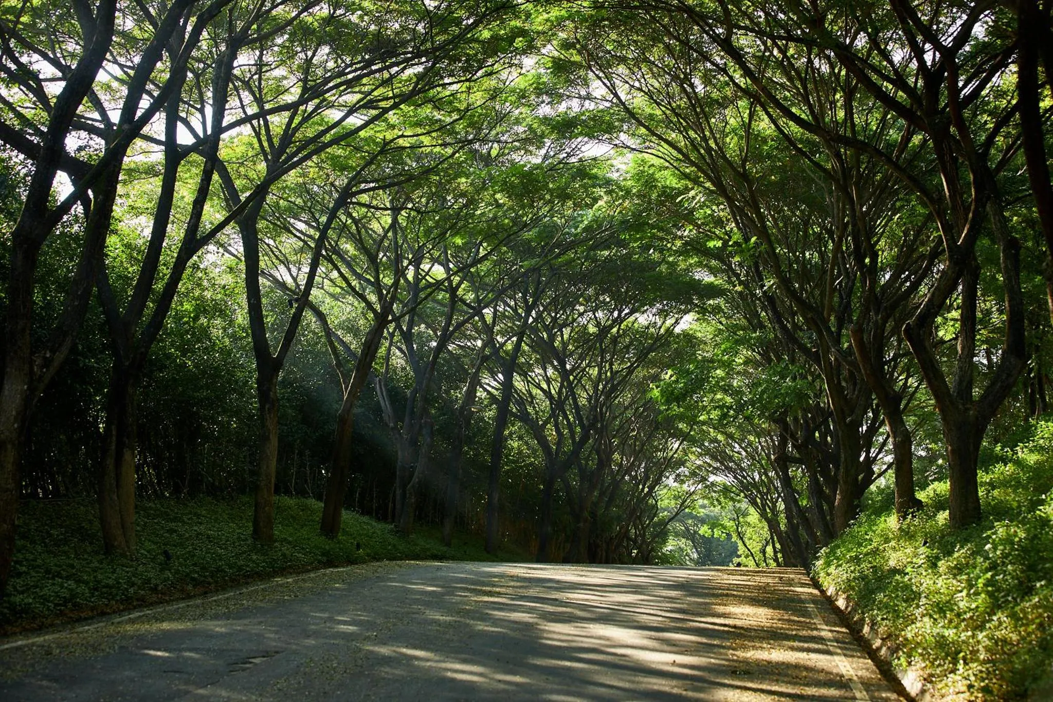 Natural landscape in InterContinental Khao Yai Resort by IHG