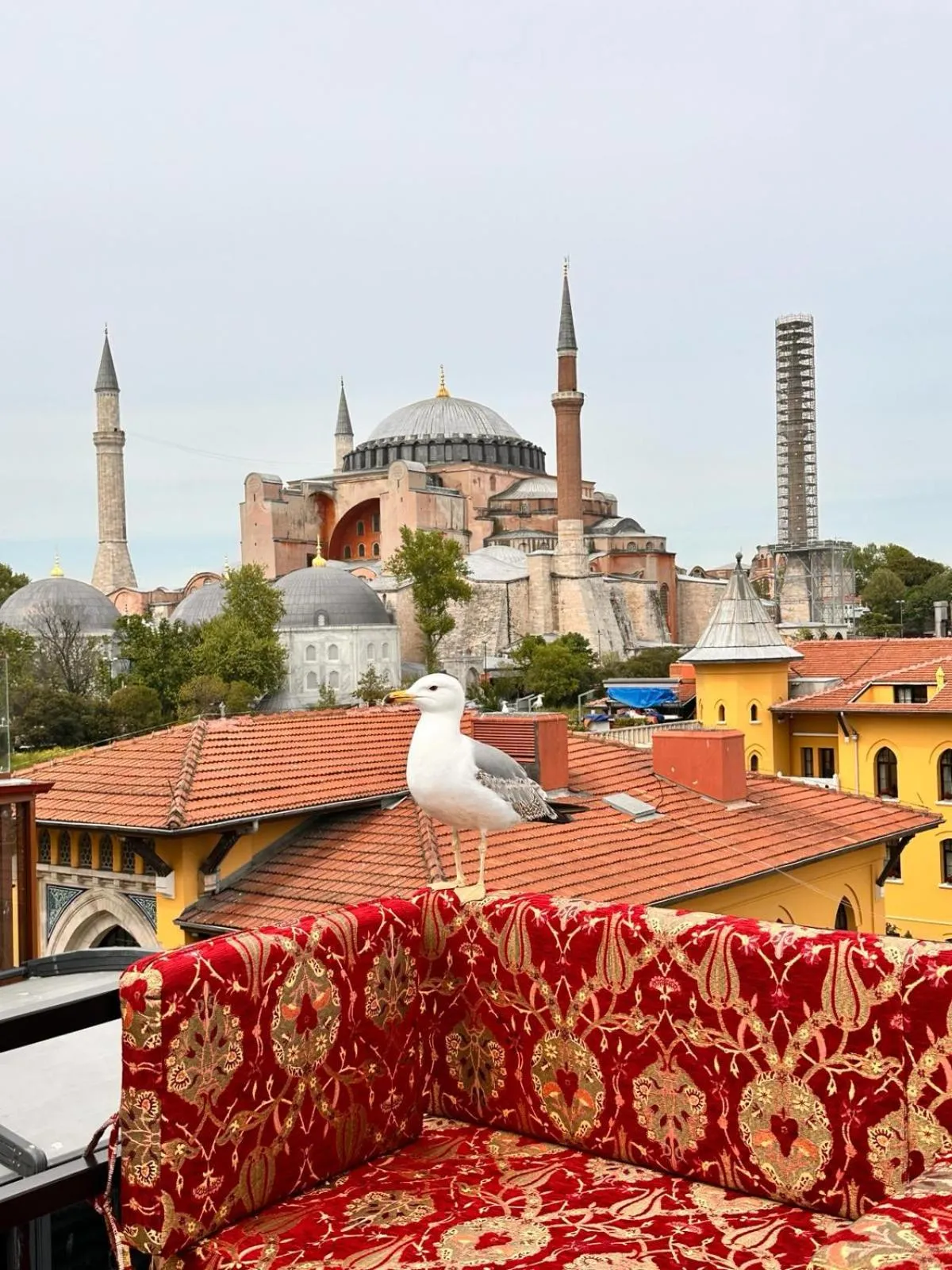 Day in By Kinyas Hotel