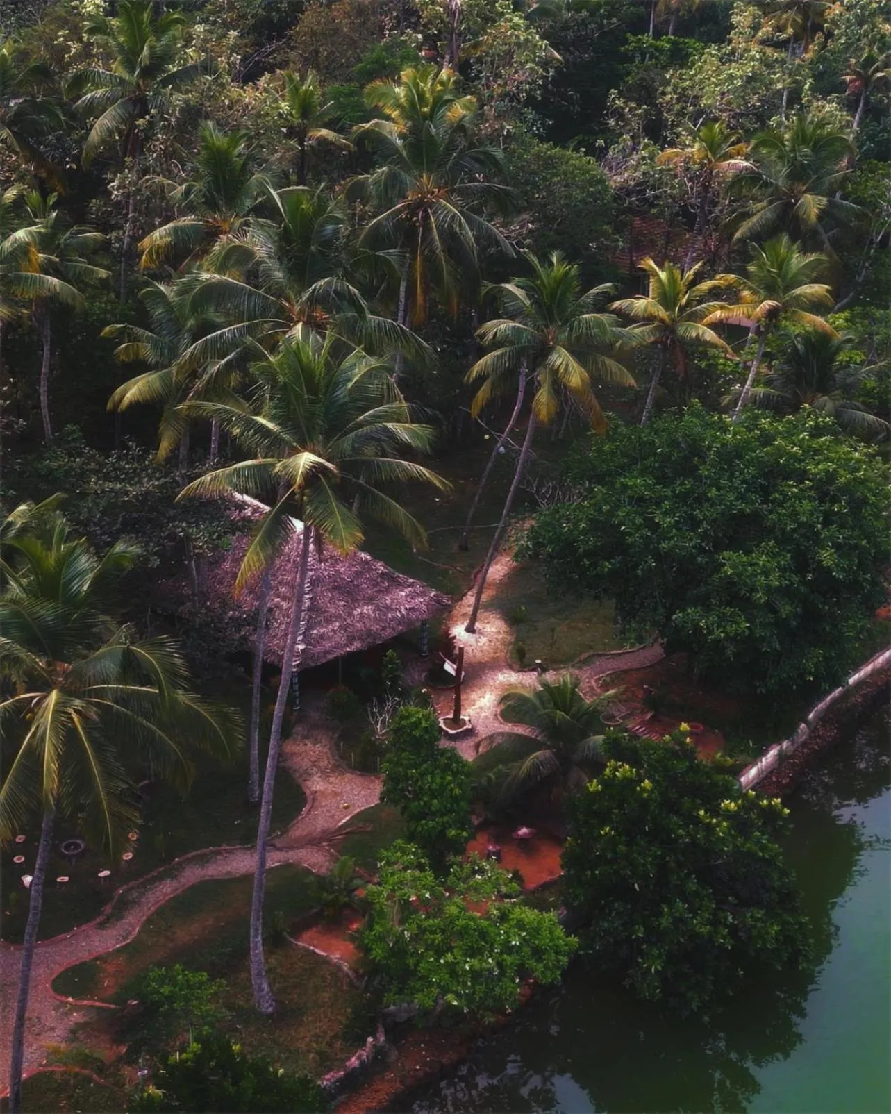 Natural landscape in Vishram Village