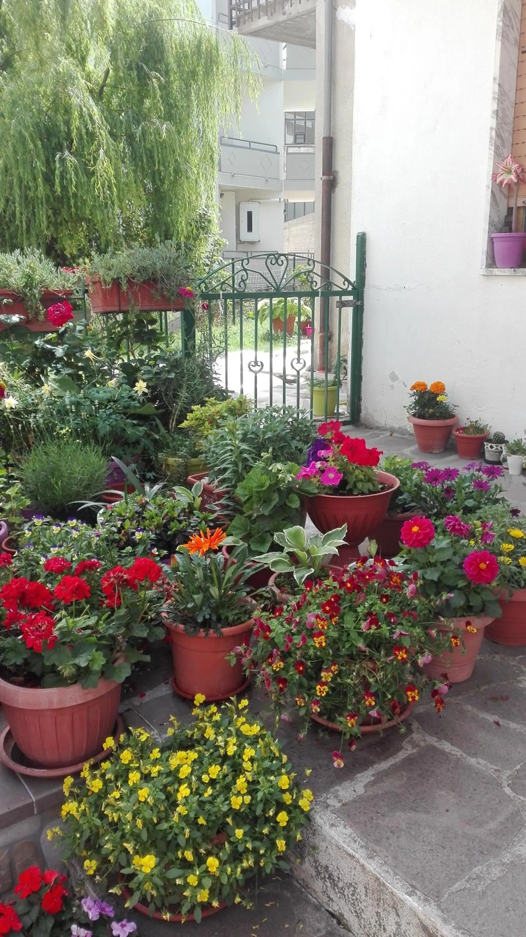 B&B A casa di Carla