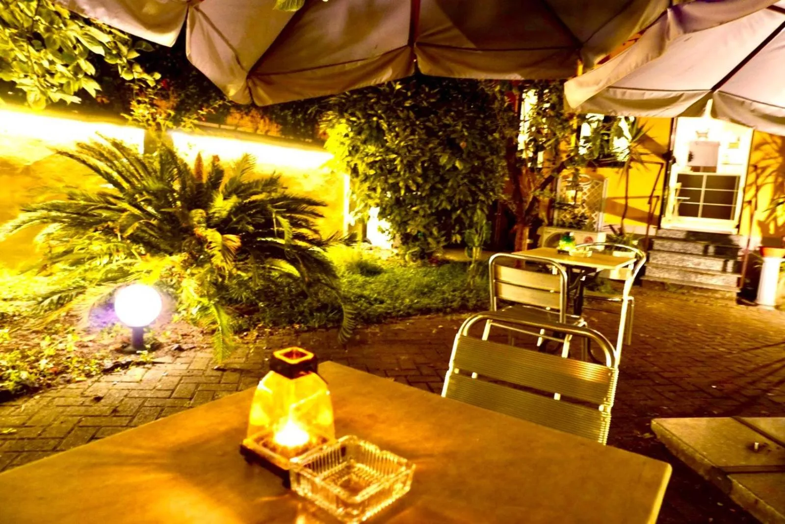 Garden in Hotel Paradiso