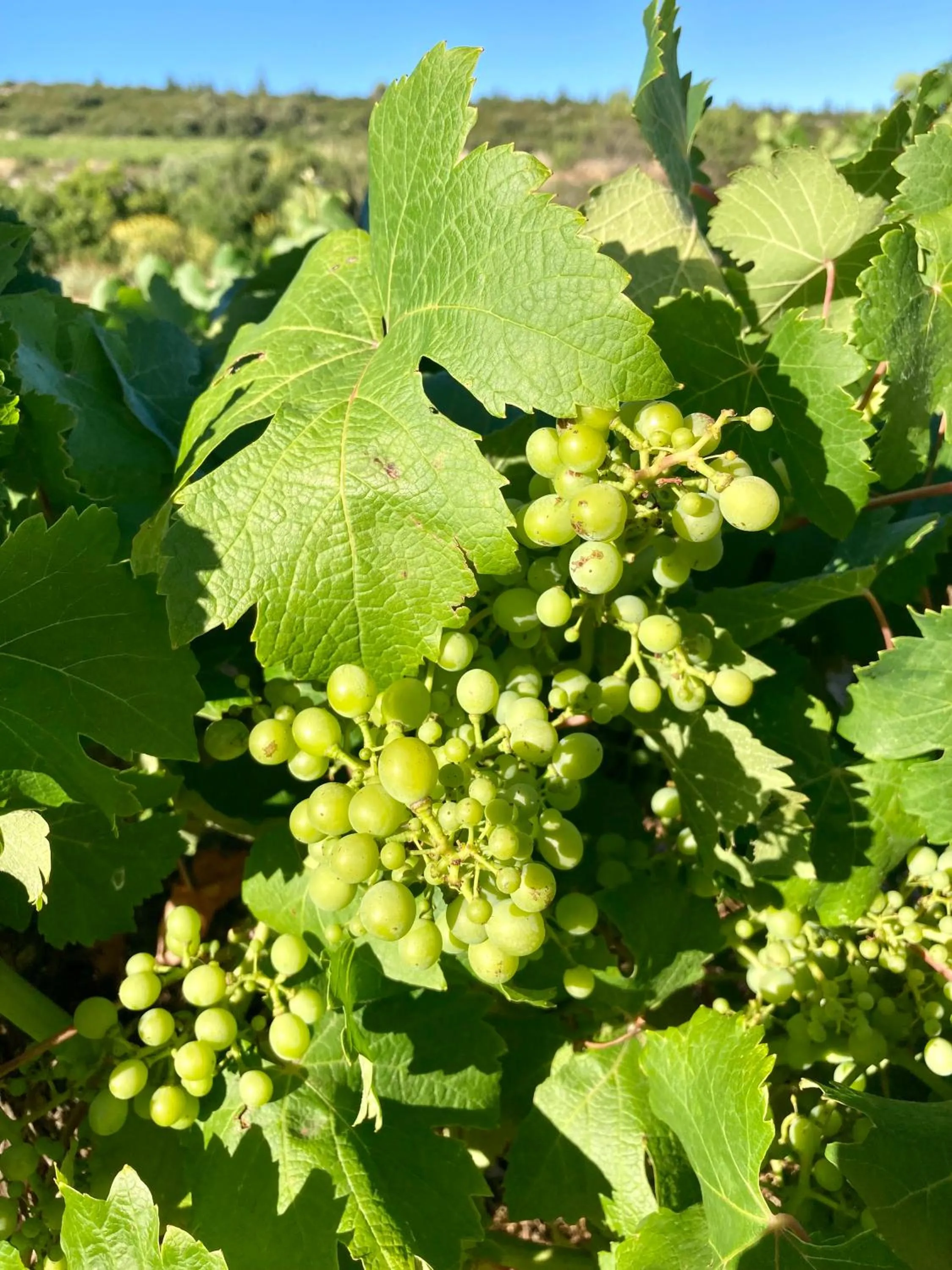 Hiking in CheRiedel Bed & Breakfast & Art Gallery