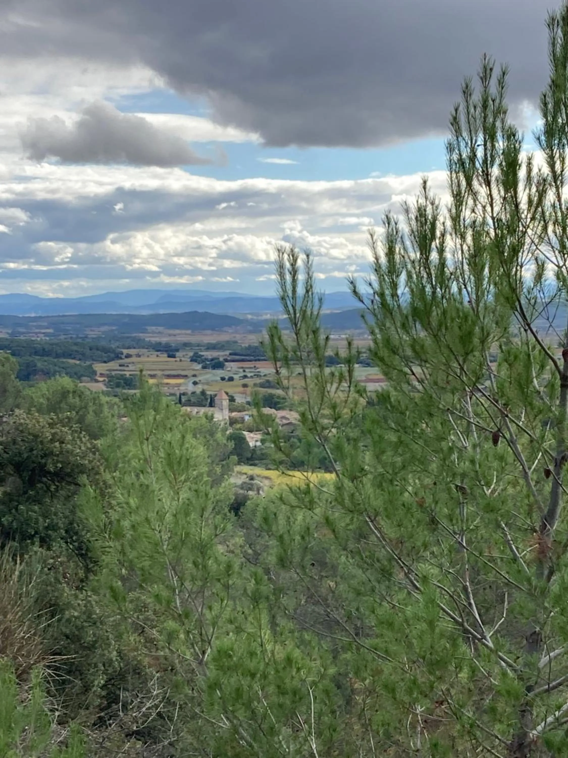 Natural landscape in CheRiedel Bed & Breakfast & Art Gallery