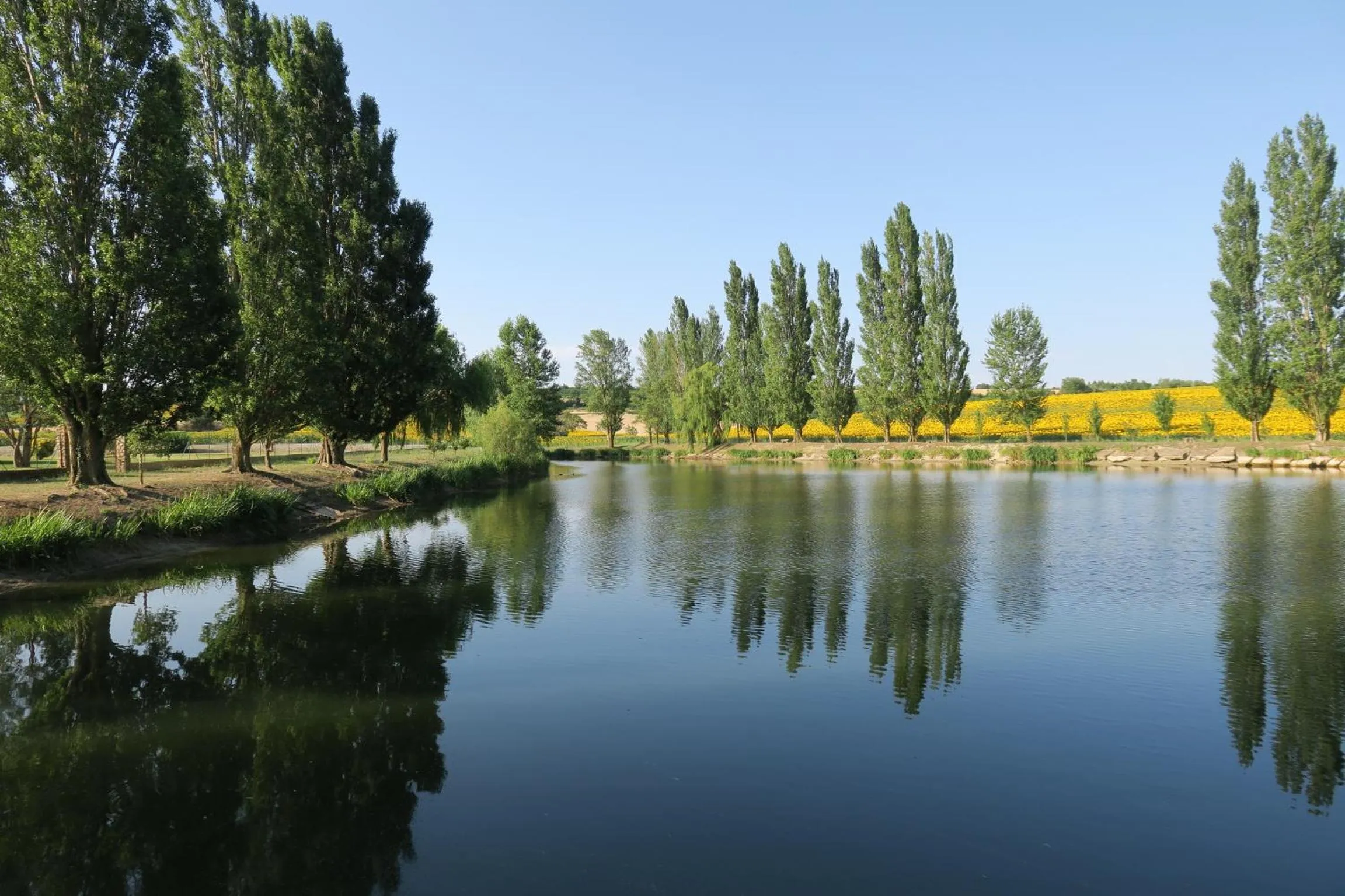 Activities in CheRiedel Bed & Breakfast & Art Gallery