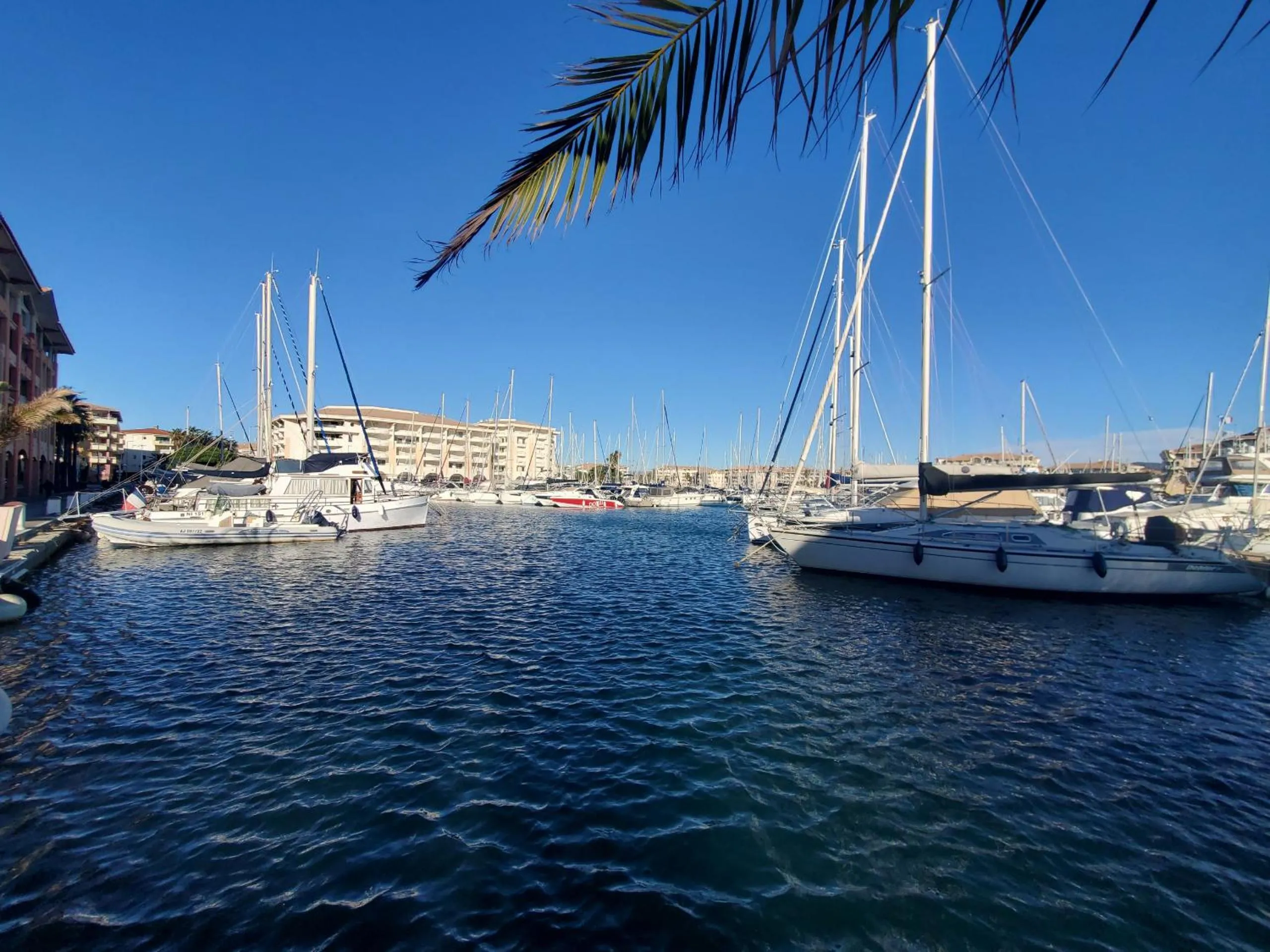 Port FREJUS 3 Pieces climatise 80m2 Proche de tout
