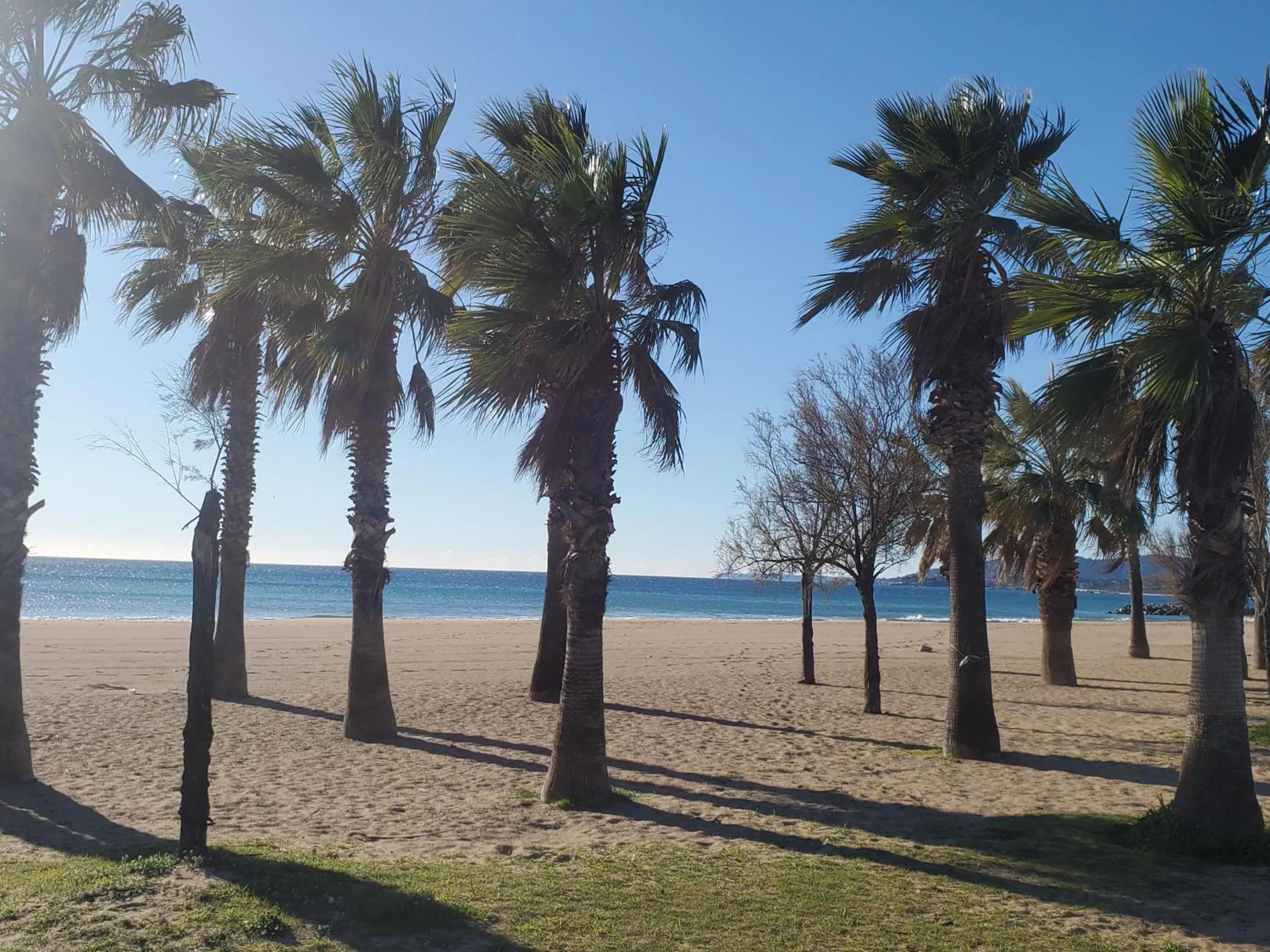 Port FREJUS 3 Pieces climatise 80m2 Proche de tout