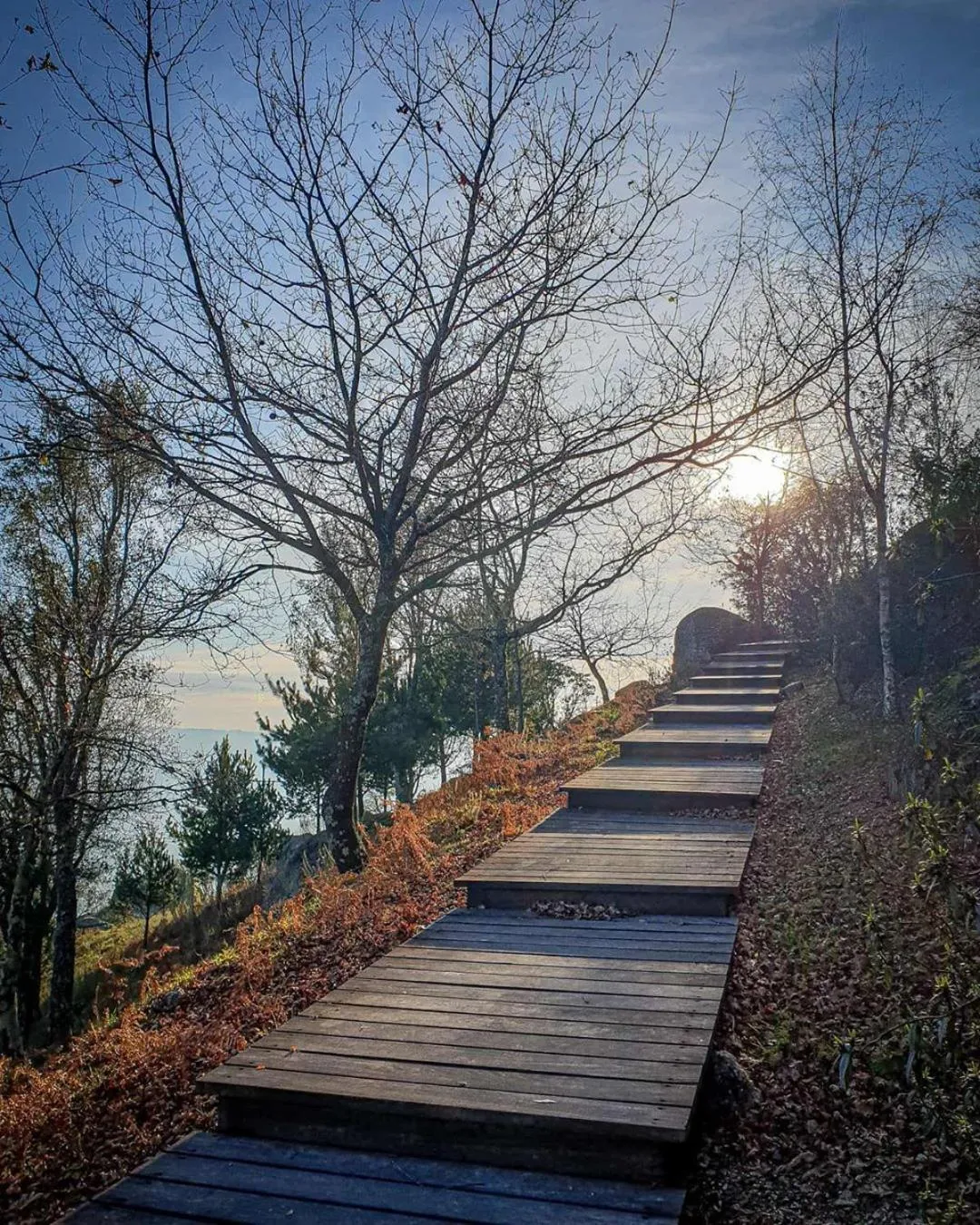 Natural landscape in Hotel Bienestar Termas De Vizela
