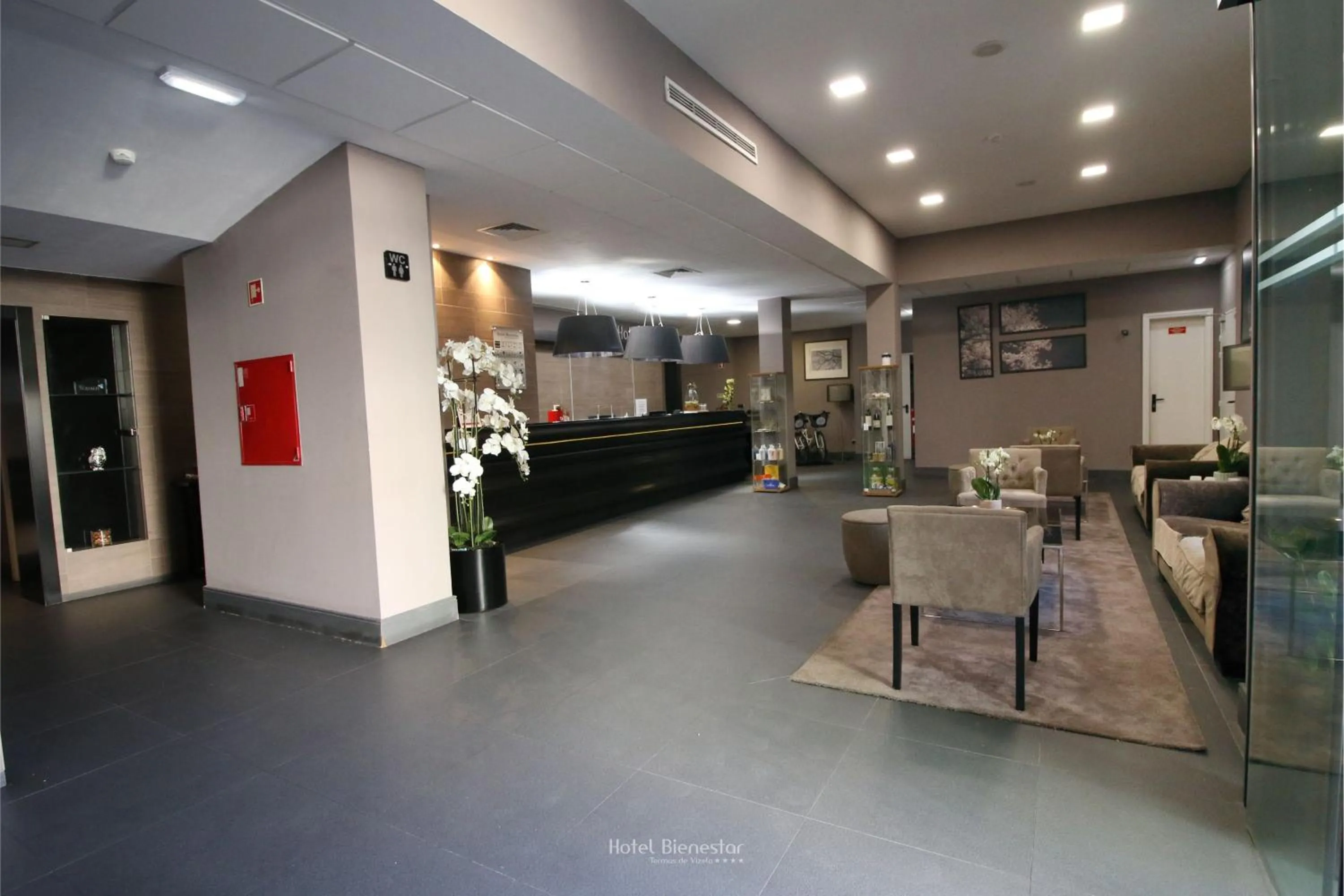 Lobby or reception in Hotel Bienestar Termas De Vizela