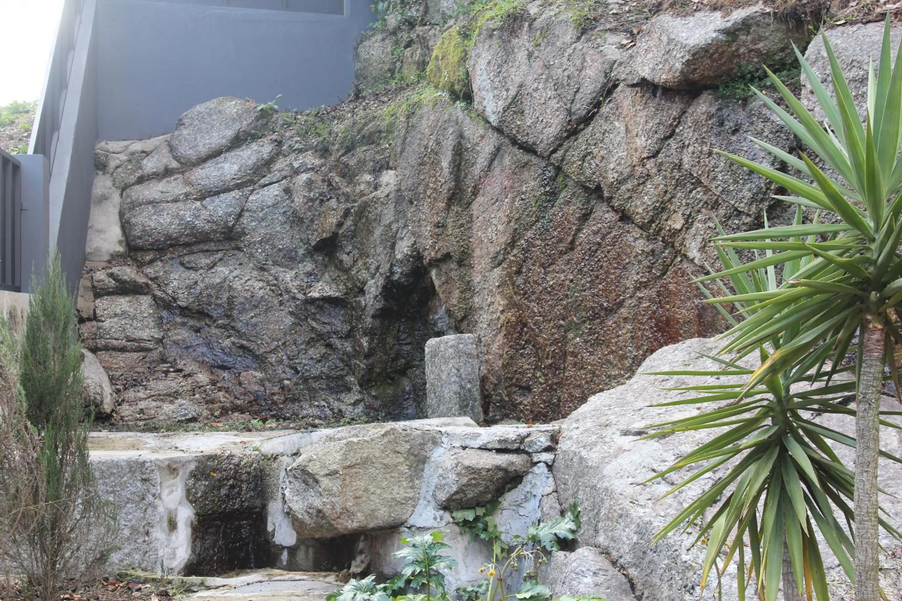 Other in Hotel Bienestar Termas De Vizela