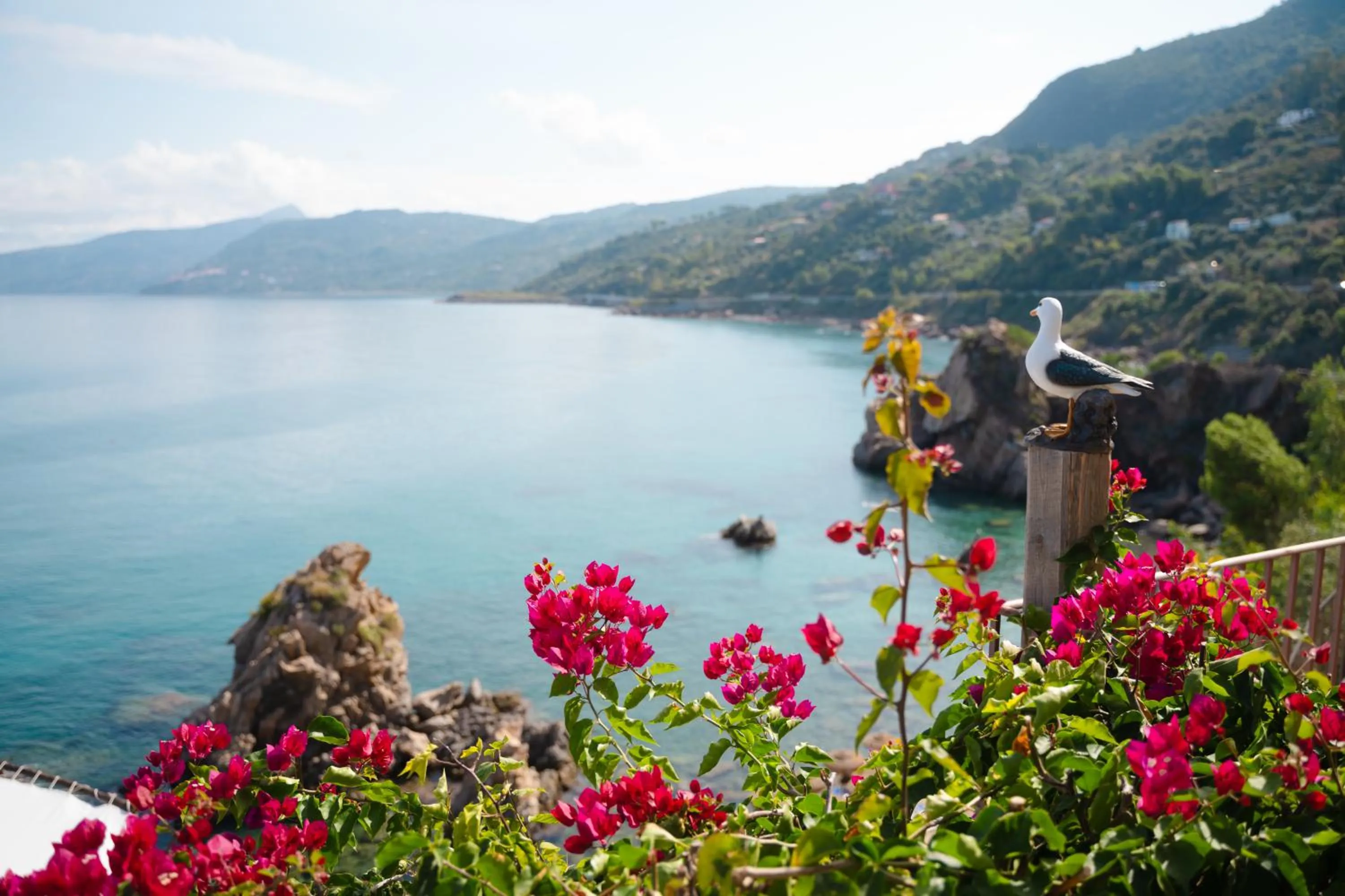 View (from property/room) in Hotel Kalura