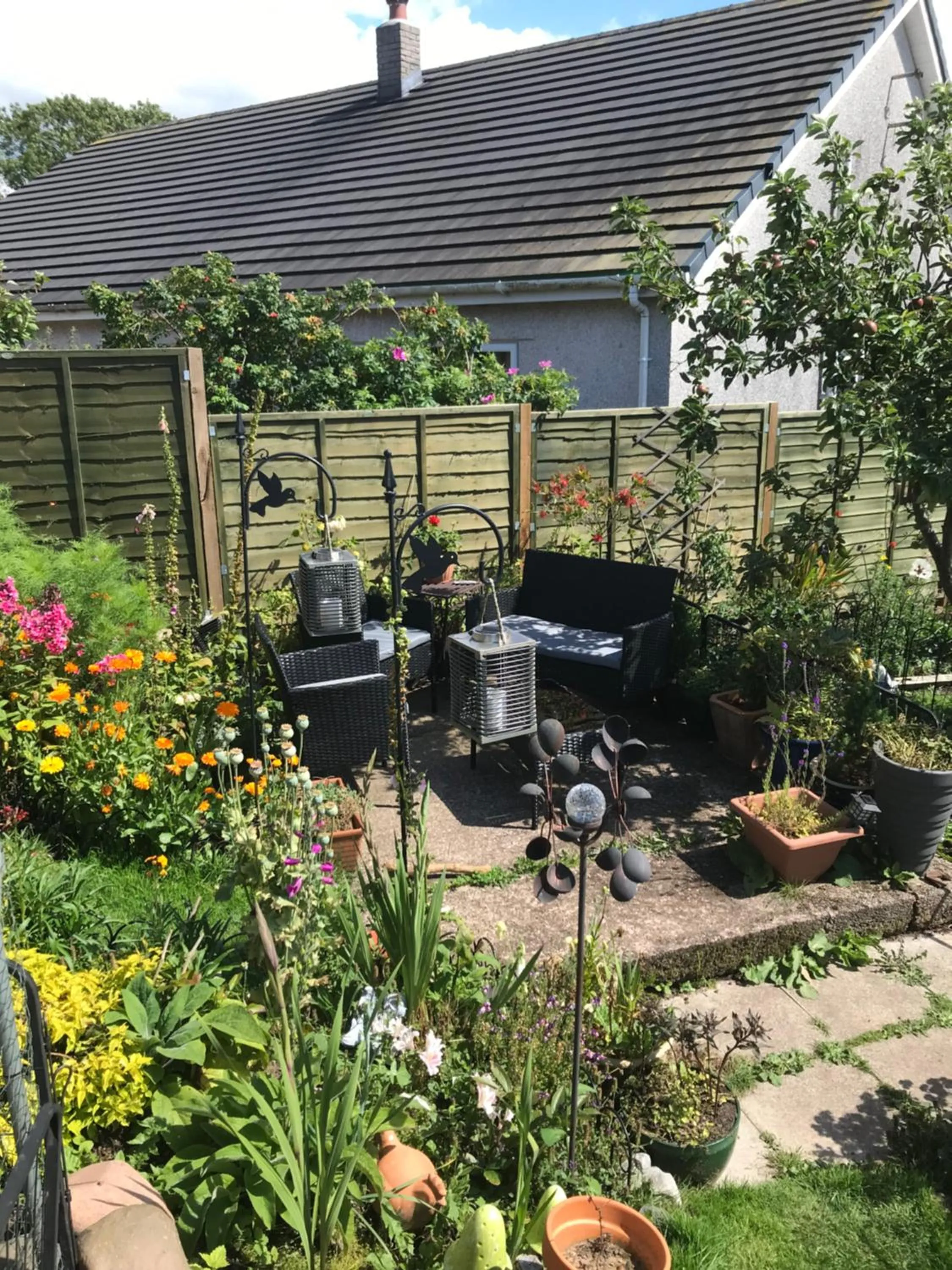 Garden in Dale View bed & breakfast