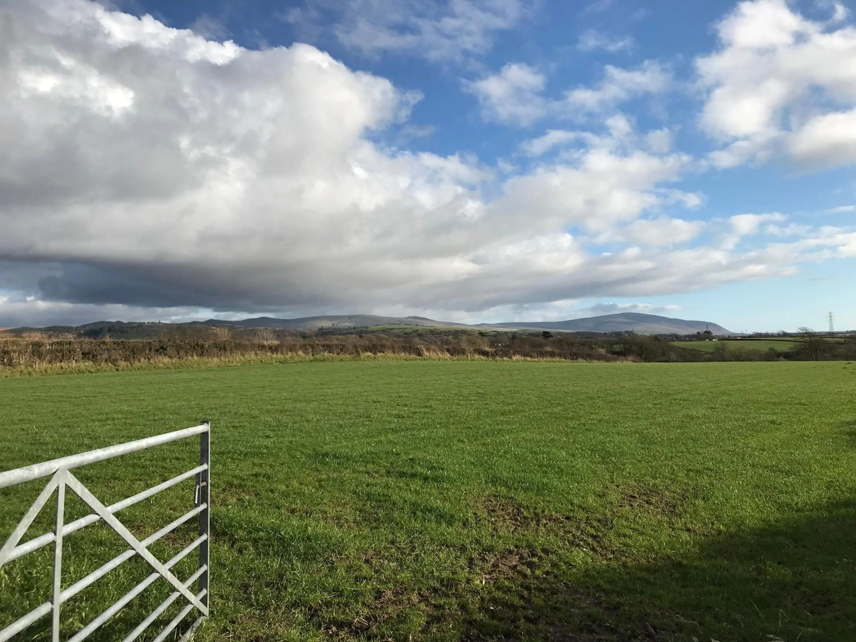 Natural landscape in Dale View bed & breakfast