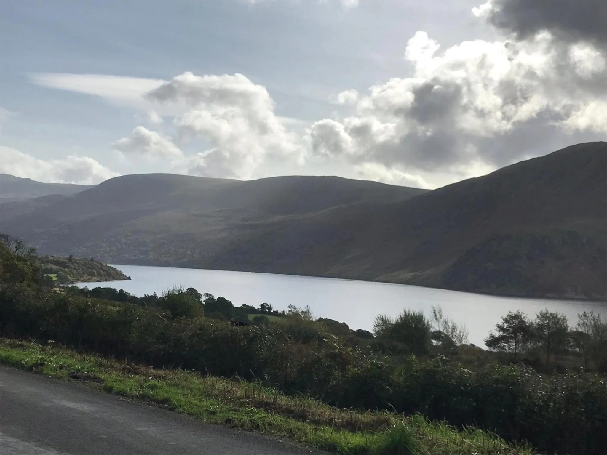 Natural landscape in Dale View bed & breakfast