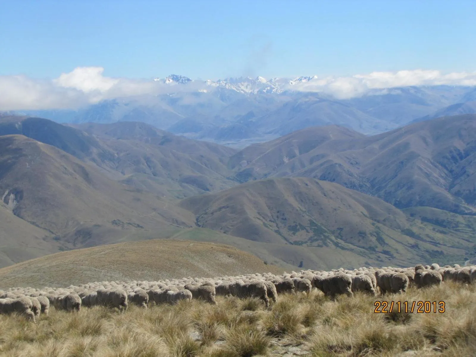 Area and facilities in Dunstan Downs High Country Sheep Station