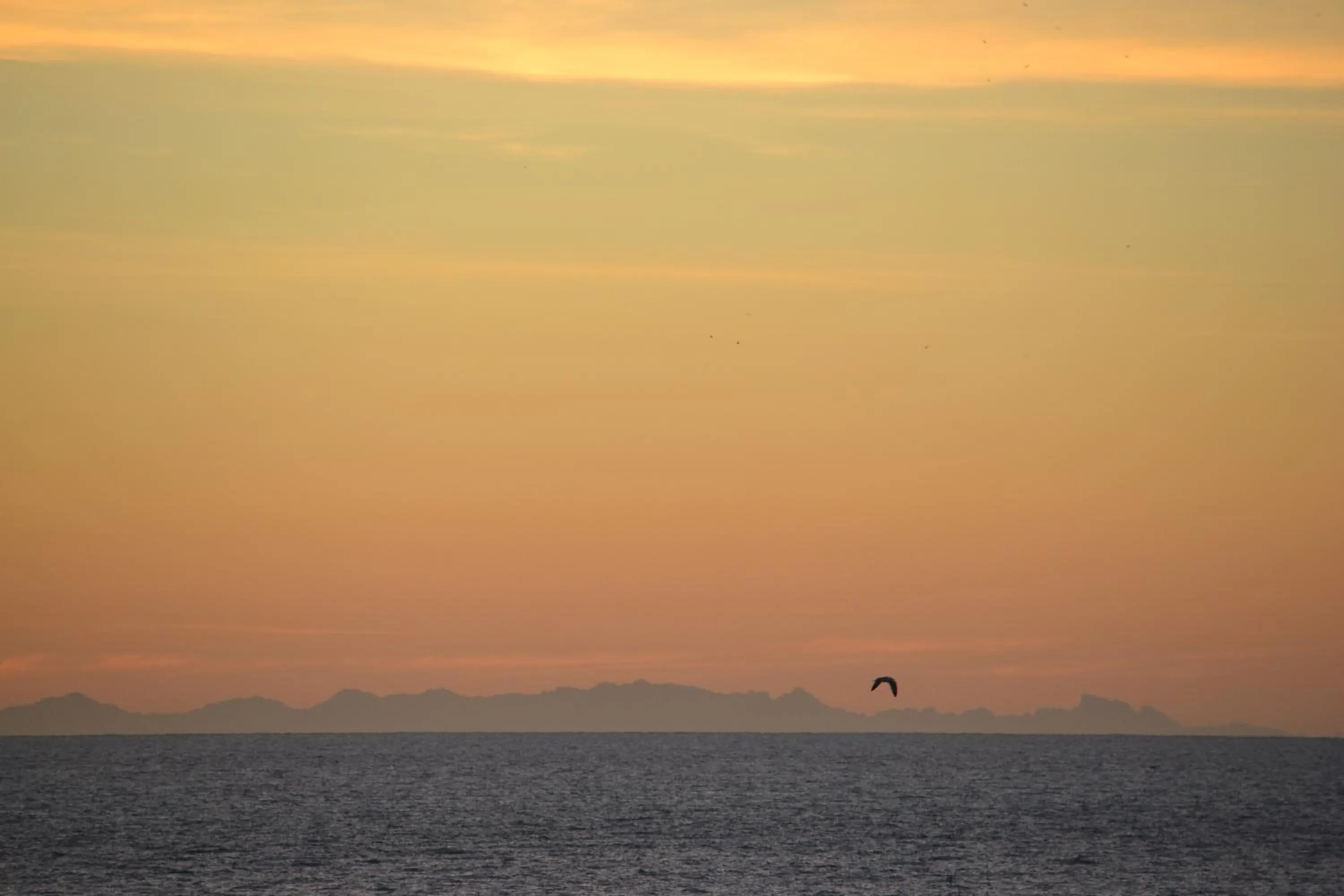 View (from property/room) in Hotel Piccolo Lido