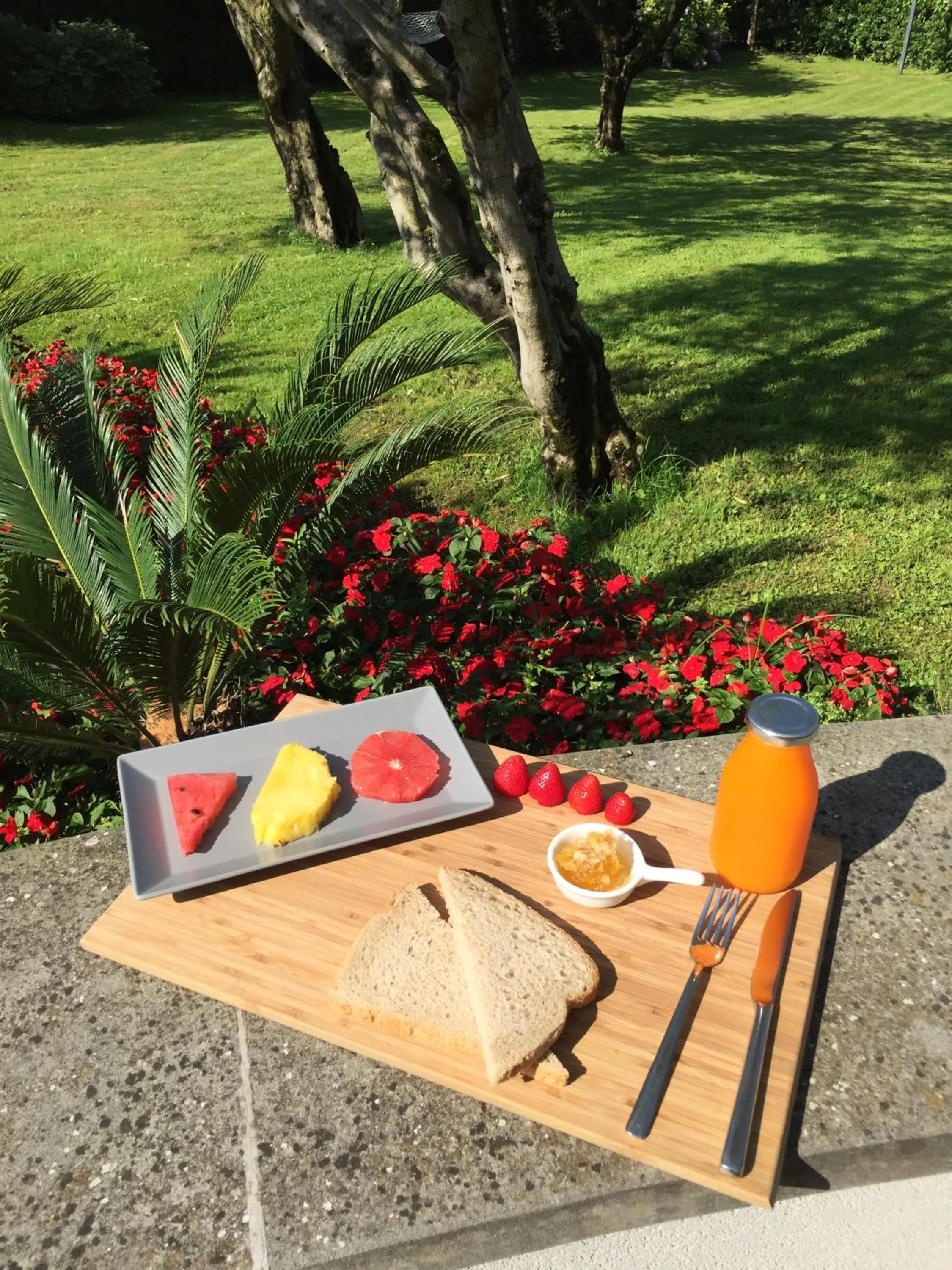 Garden in Villa Kinzica