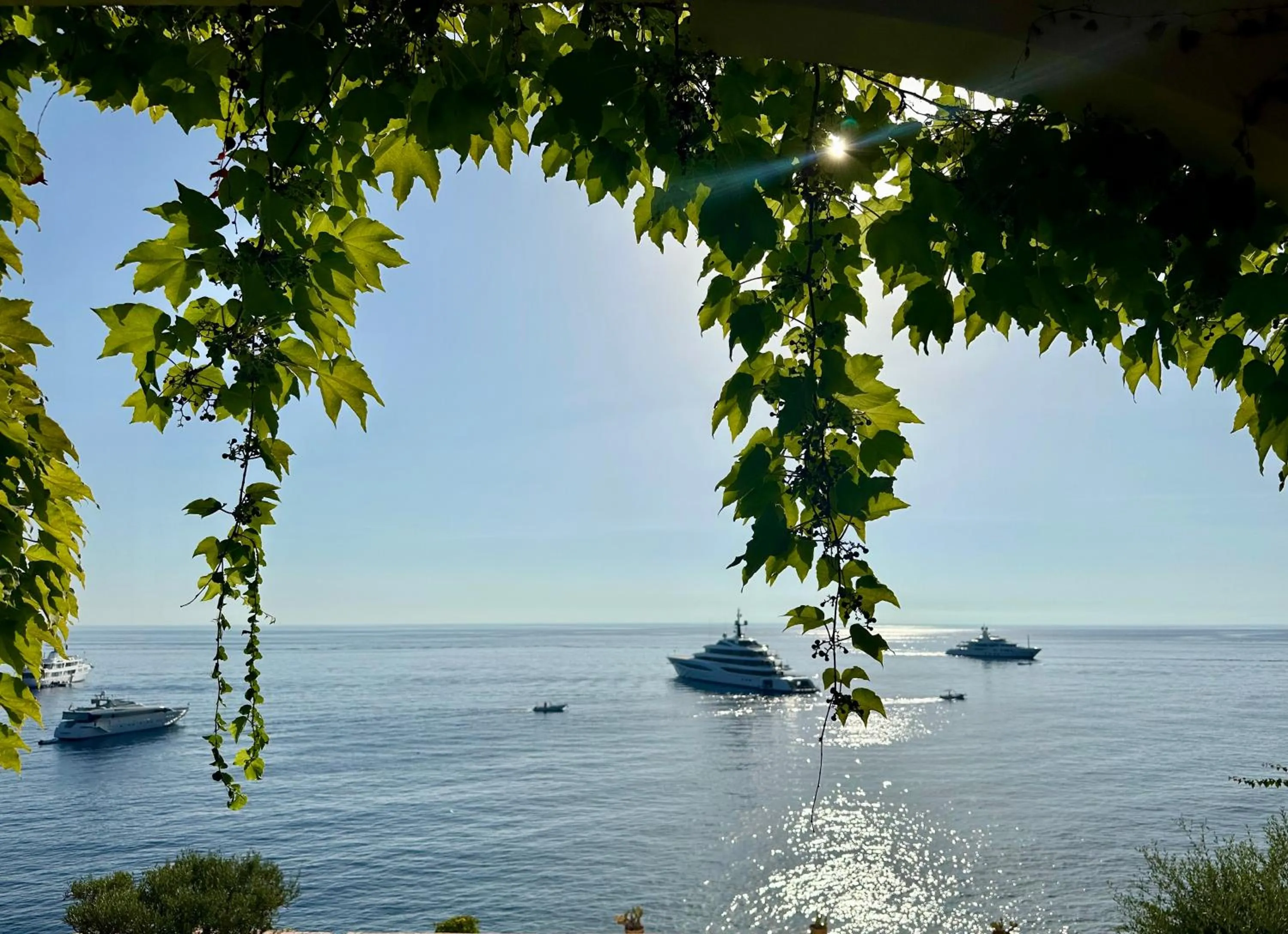 Day in Hotel Carasco