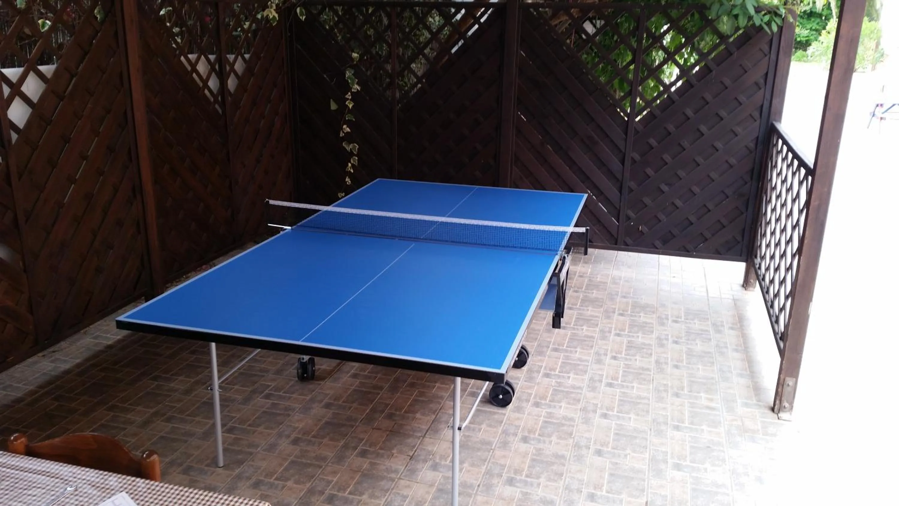 Table tennis in Palm Village