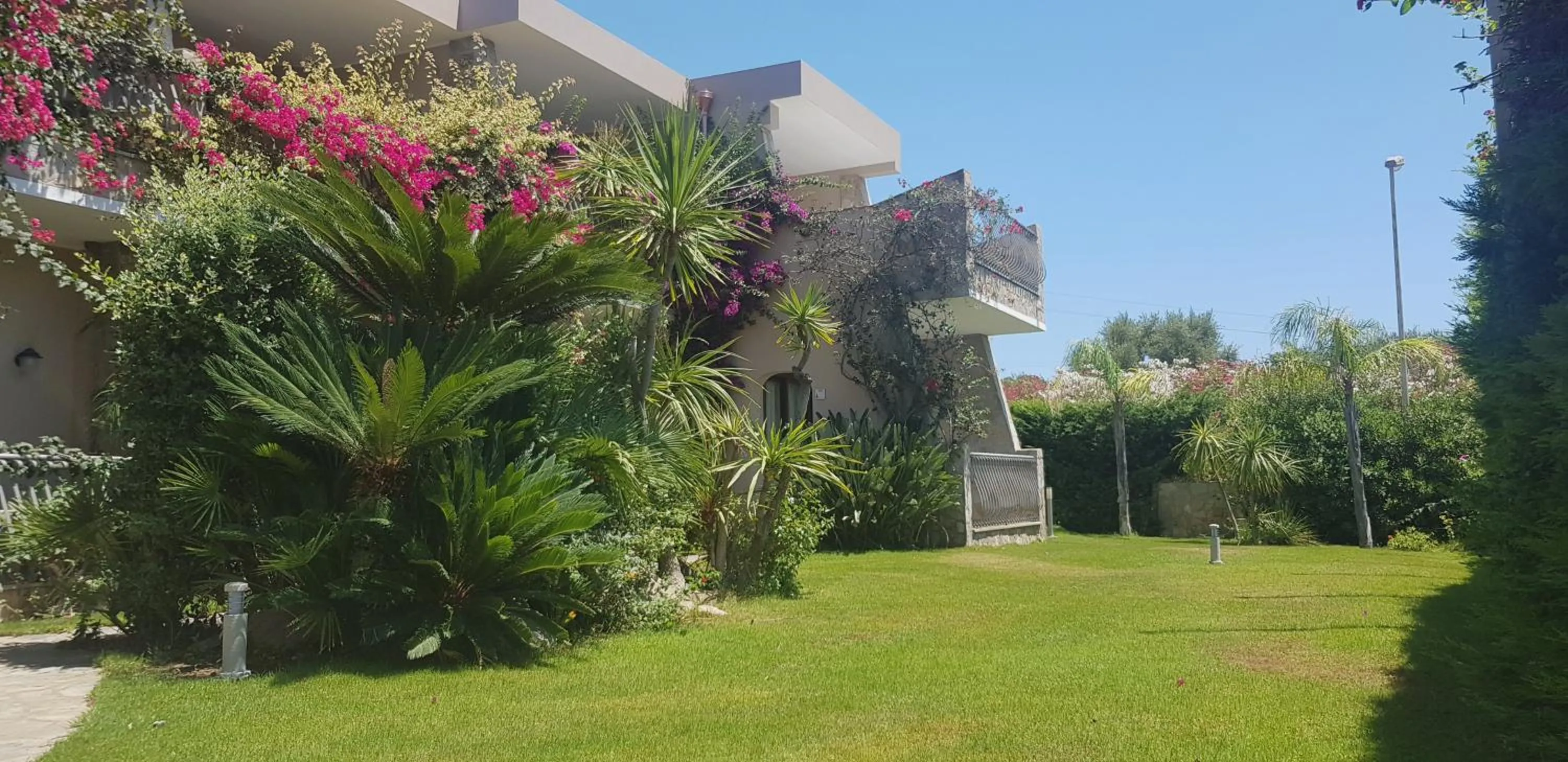 Garden in Palm Village