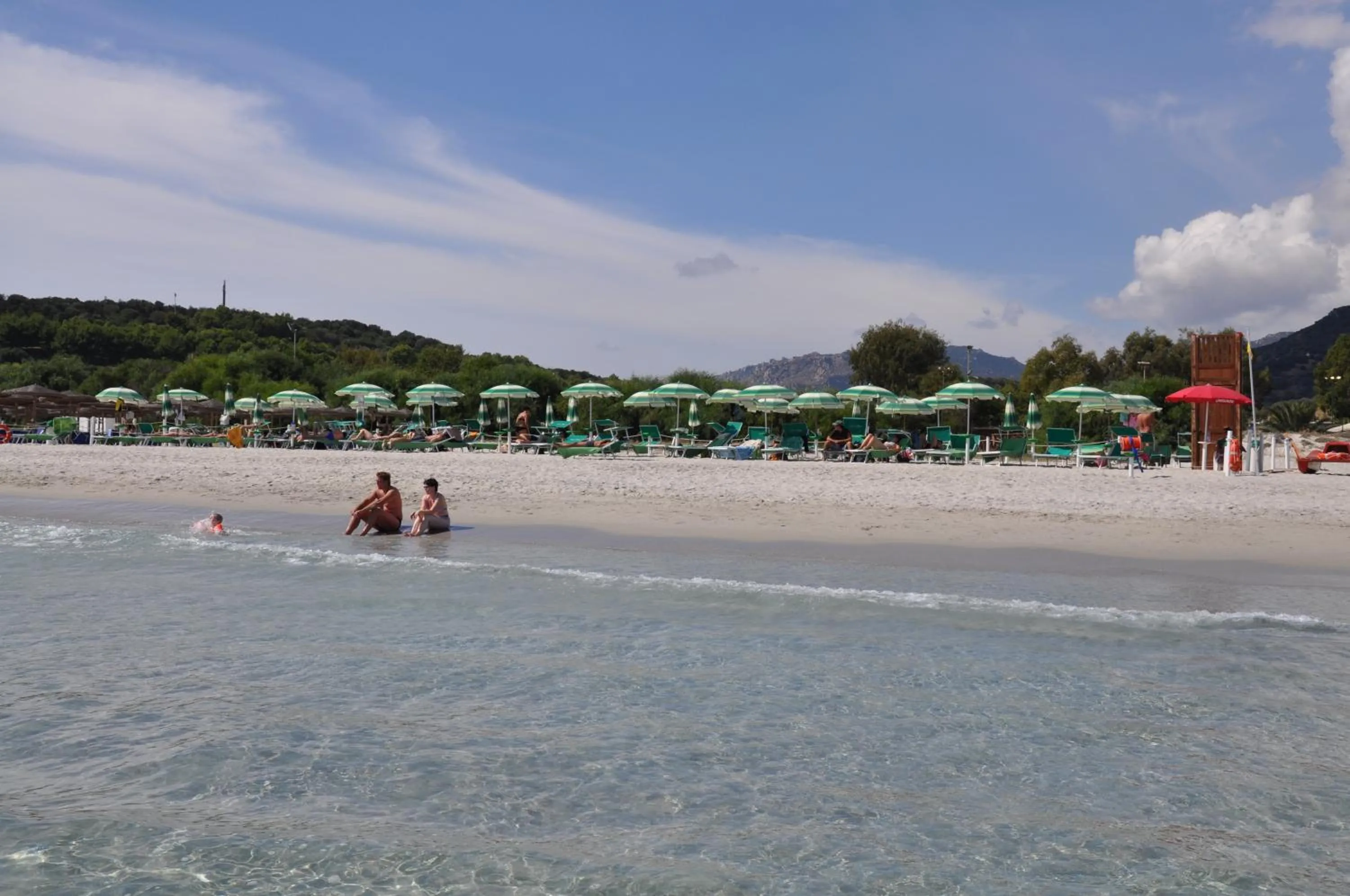 Area and facilities in Palm Village