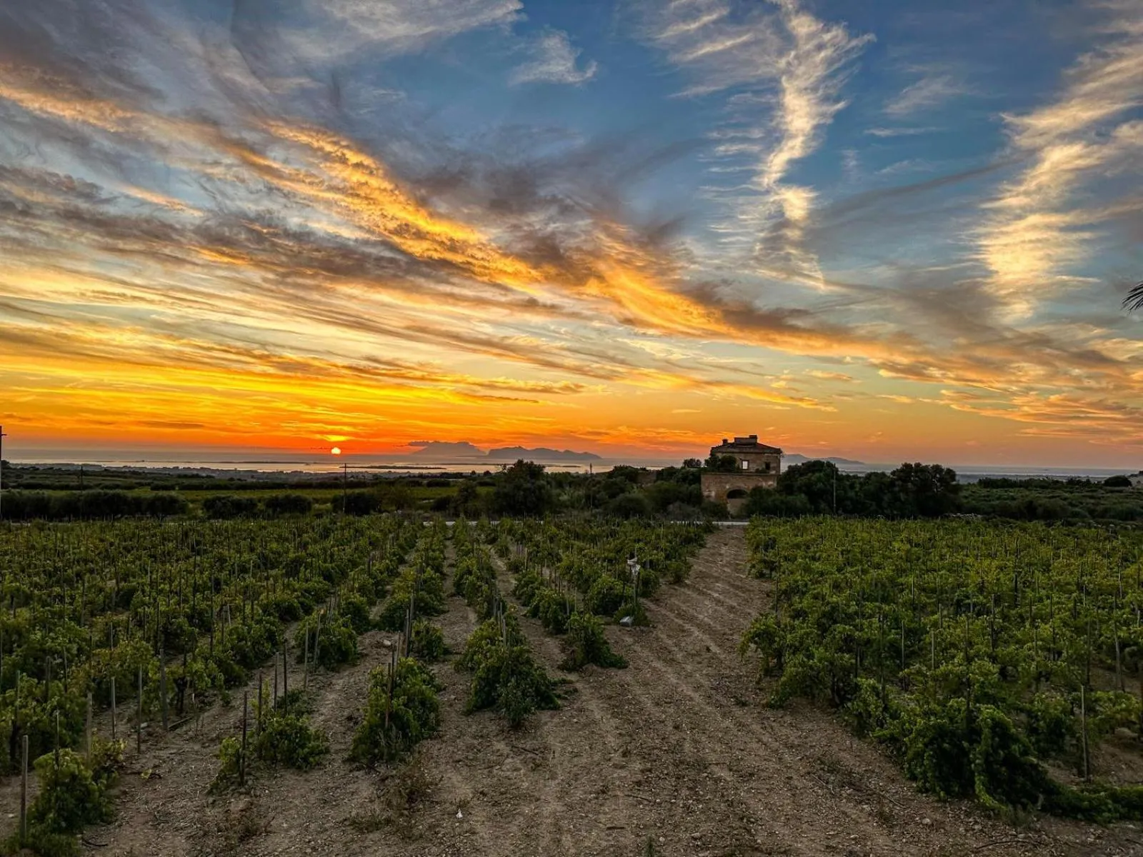 Natural landscape in Agriturismo Baglio Donnafranca Wine Resort