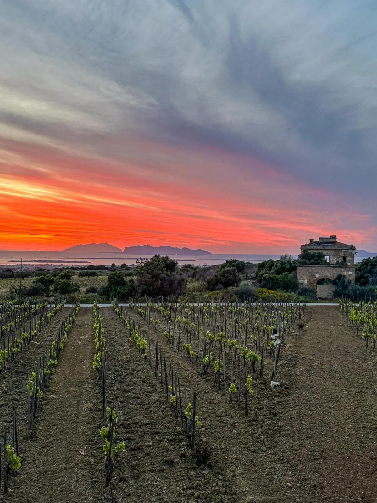 Agriturismo Baglio Donnafranca Wine Resort