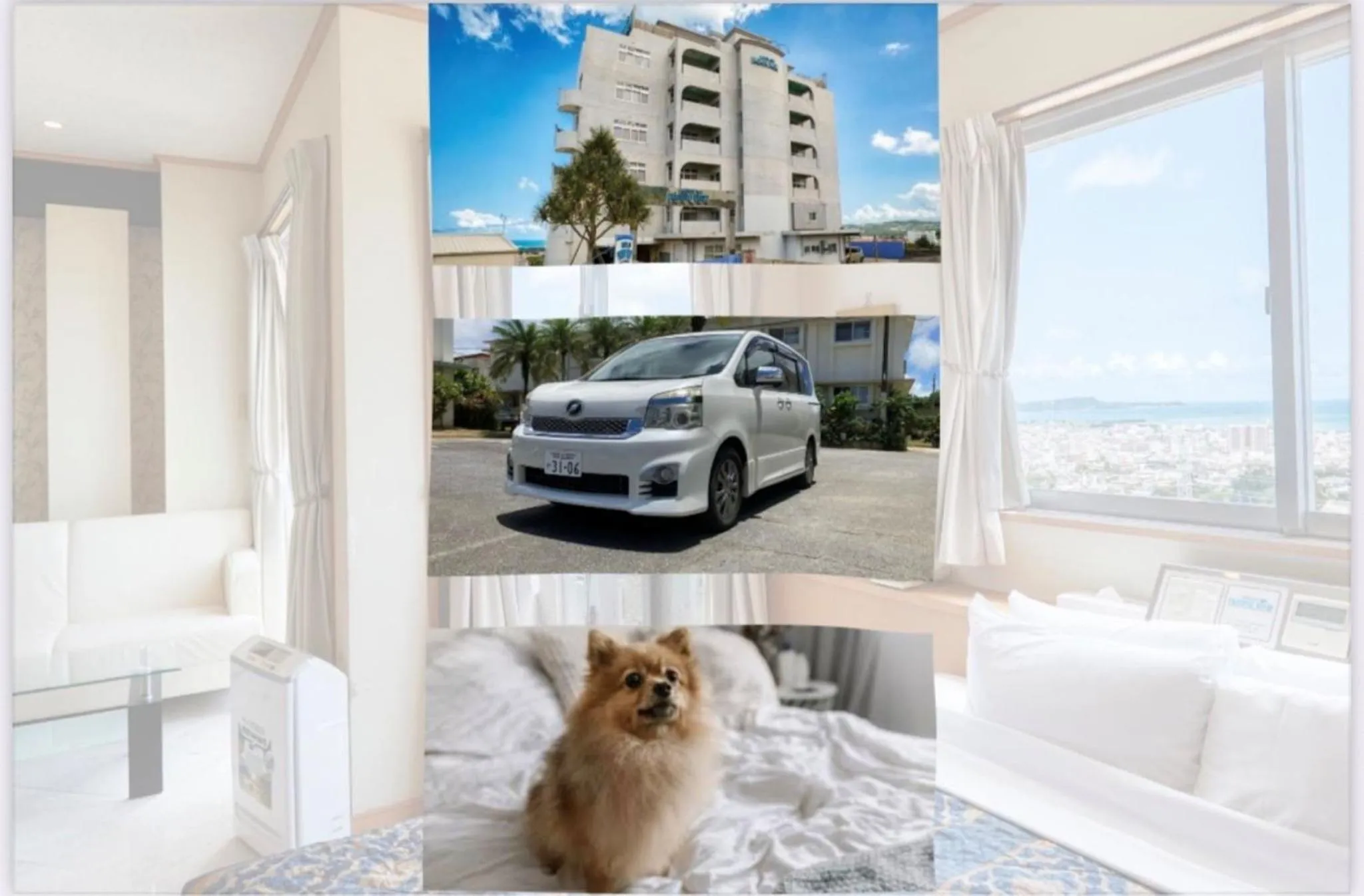 Property building in HOTEL PACIFIC VIEW Rental car included & pet-friendly