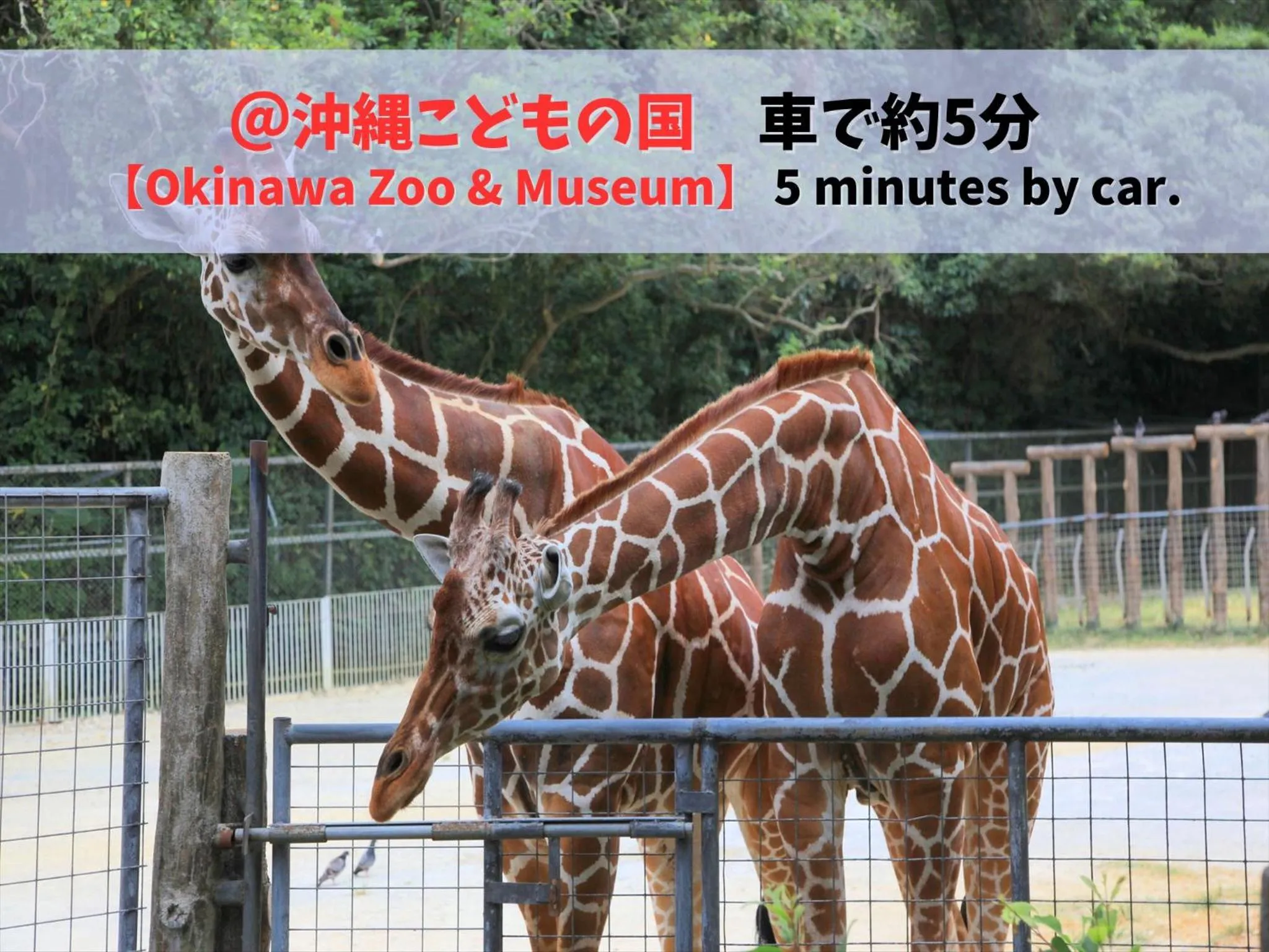 Nearby landmark in HOTEL PACIFIC VIEW Rental car included & pet-friendly