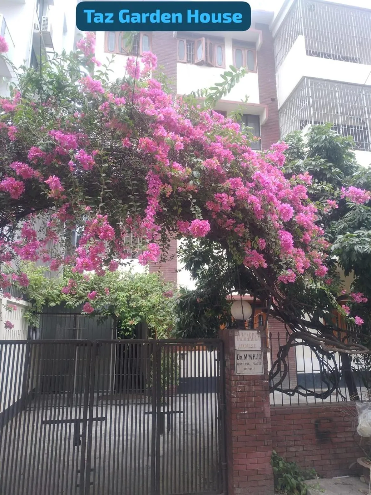 Taz Garden House