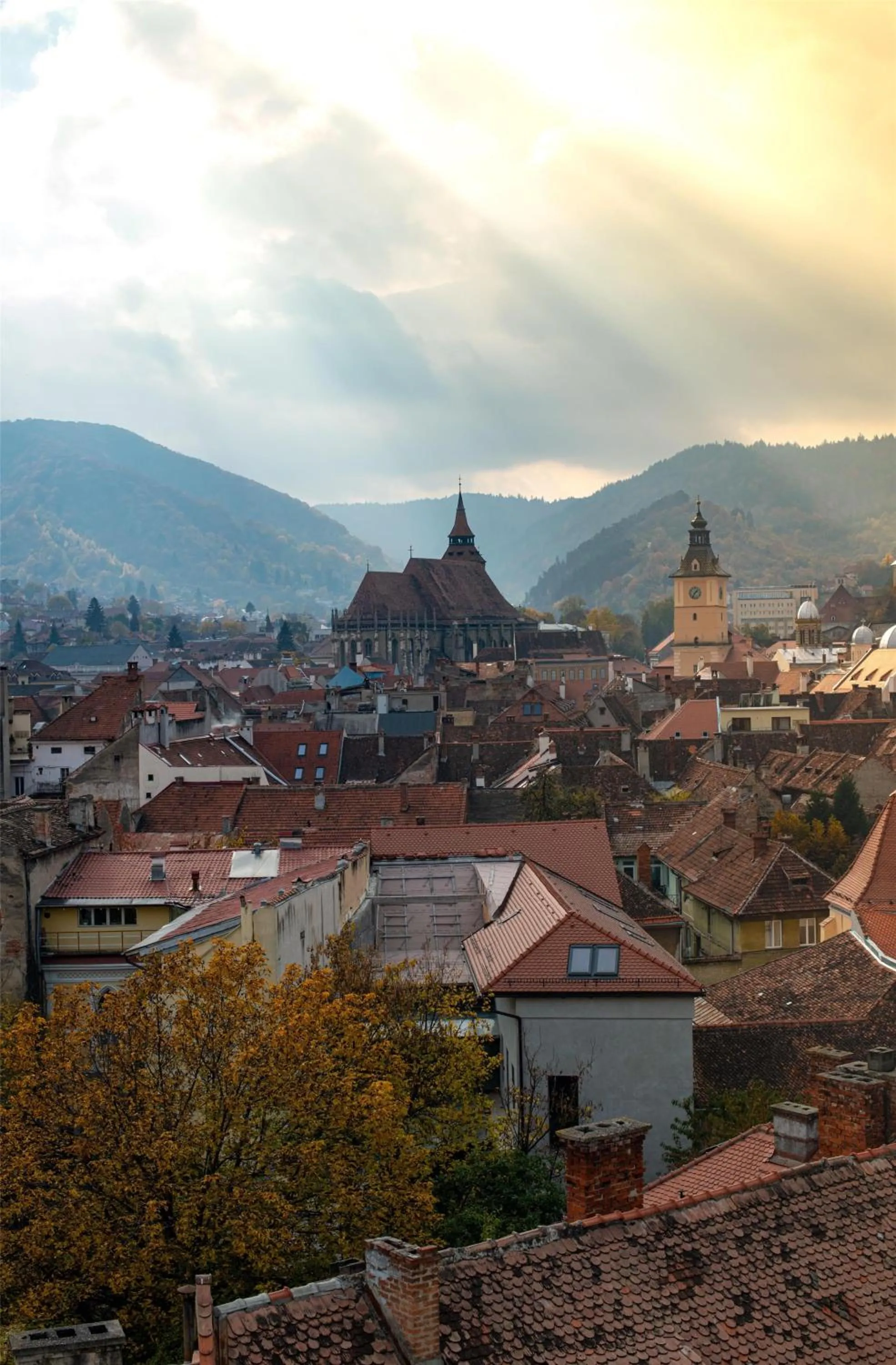 Lounge or bar in Radisson Blu Aurum Hotel, Brasov