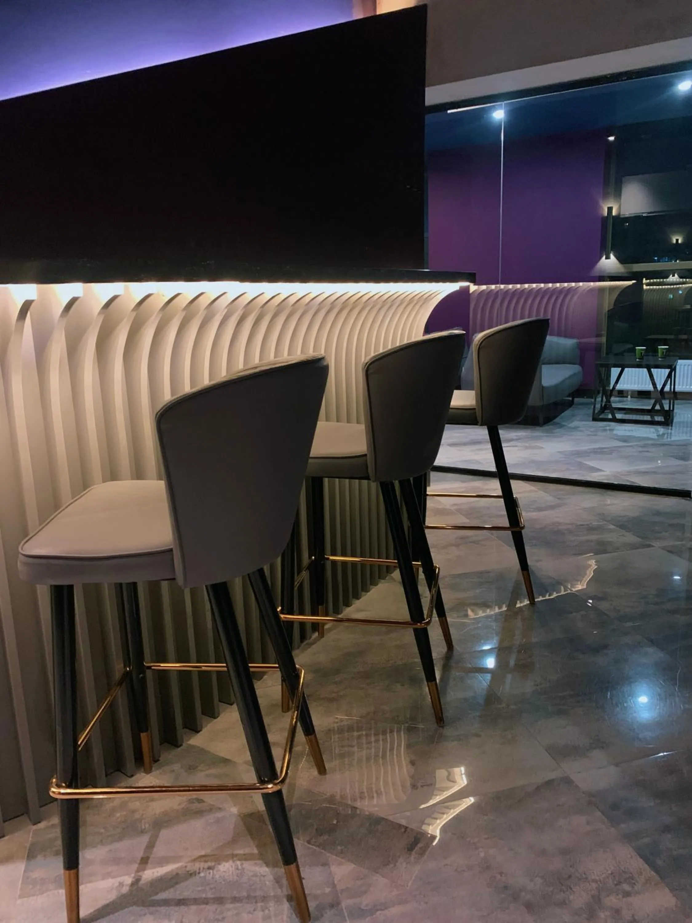 Karaoke in MIllennium Plaza Hotel & Mall Ulaanbaatar