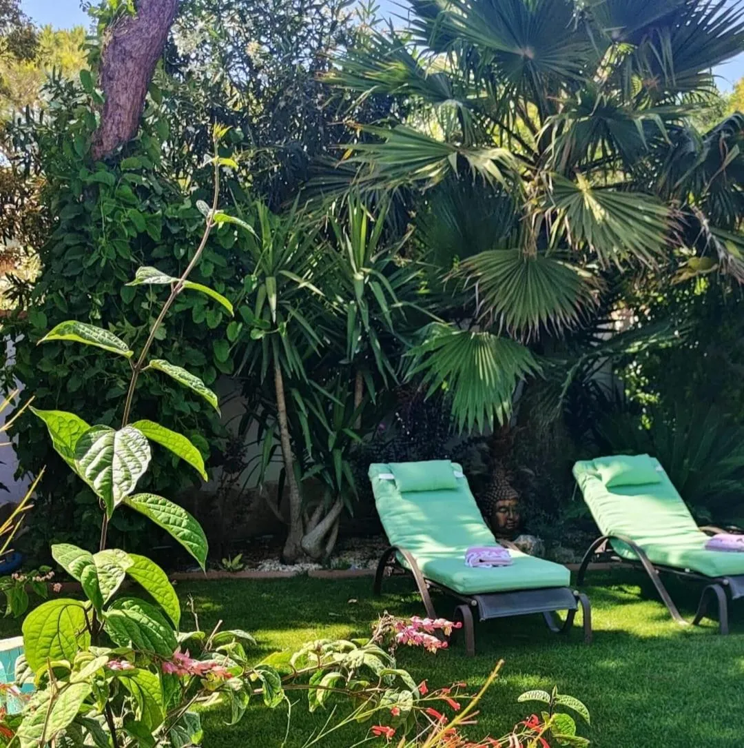 Garden in Villa Zahara
