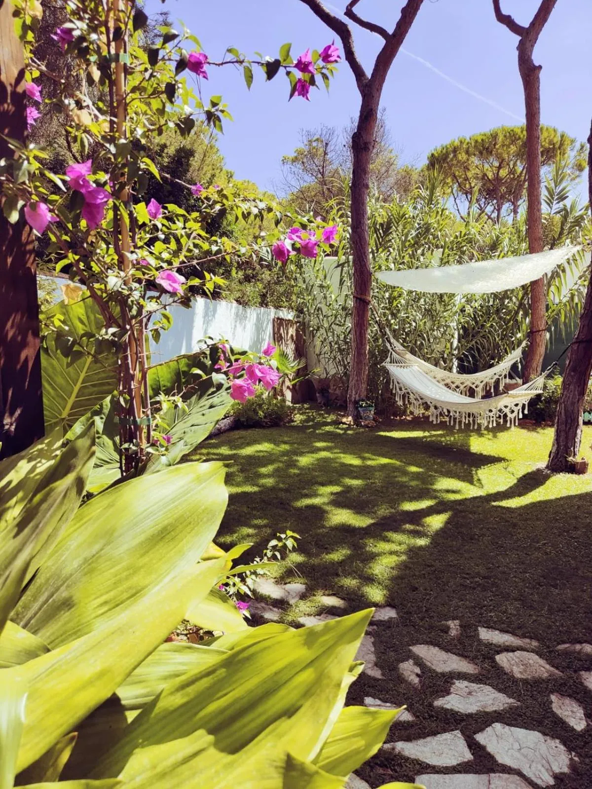 Garden in Villa Zahara
