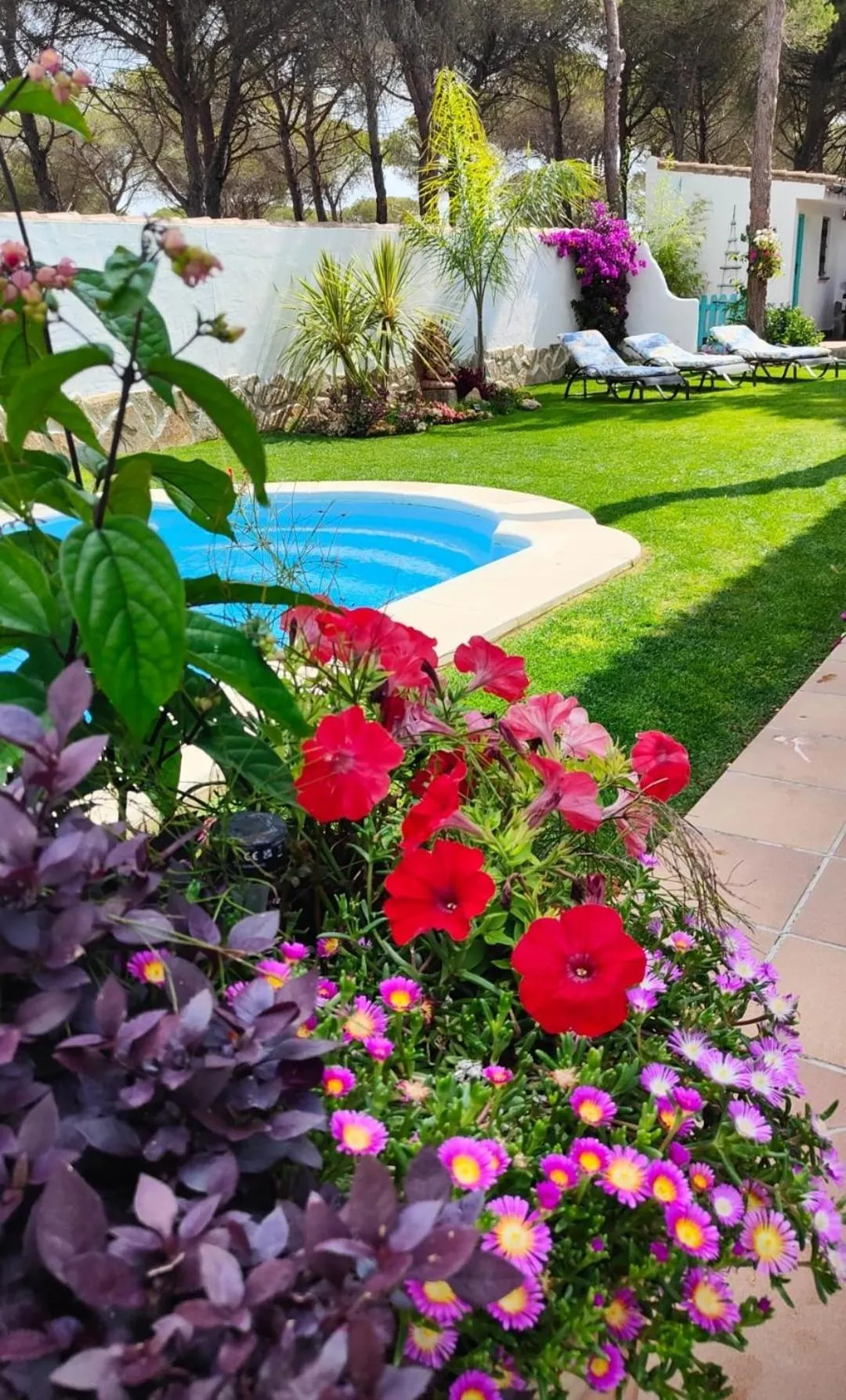 Swimming pool in Villa Zahara