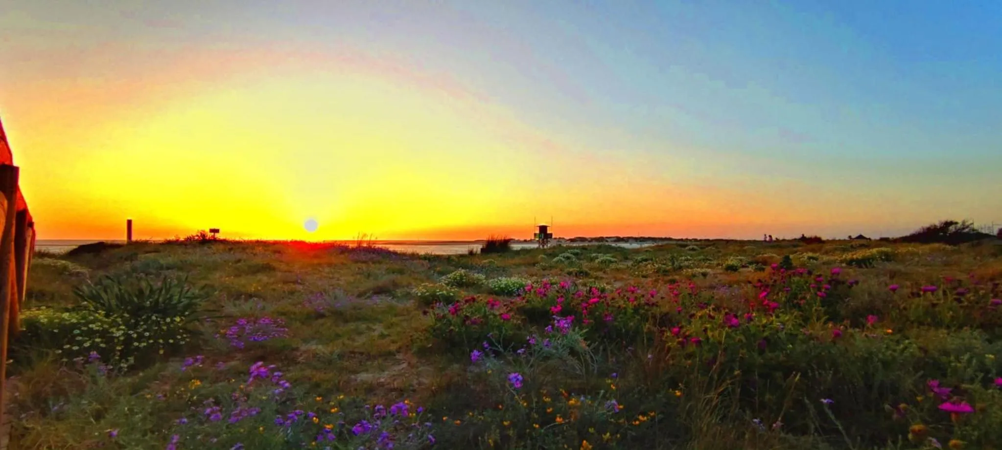 Natural landscape in Villa Zahara