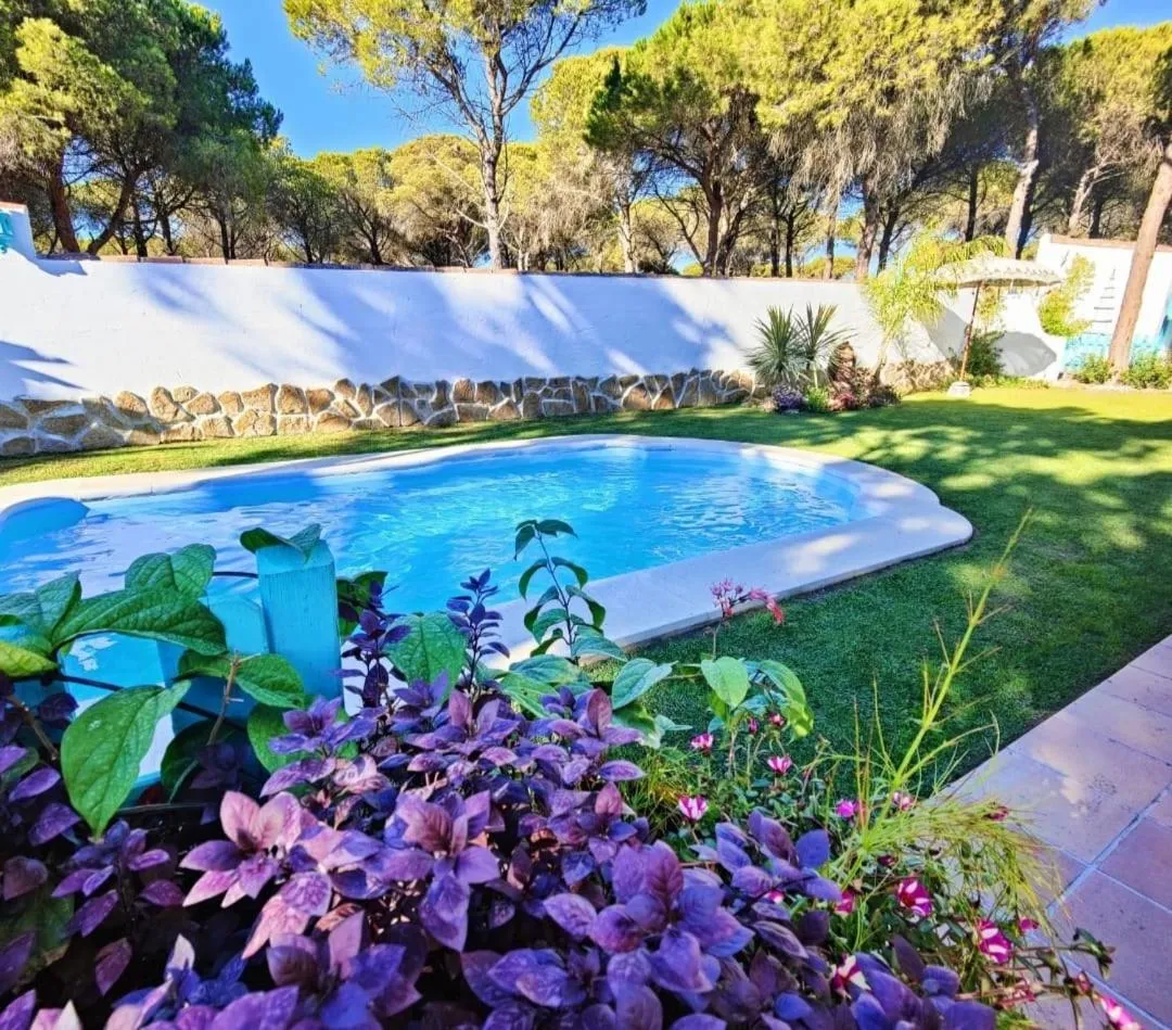 Swimming pool in Villa Zahara