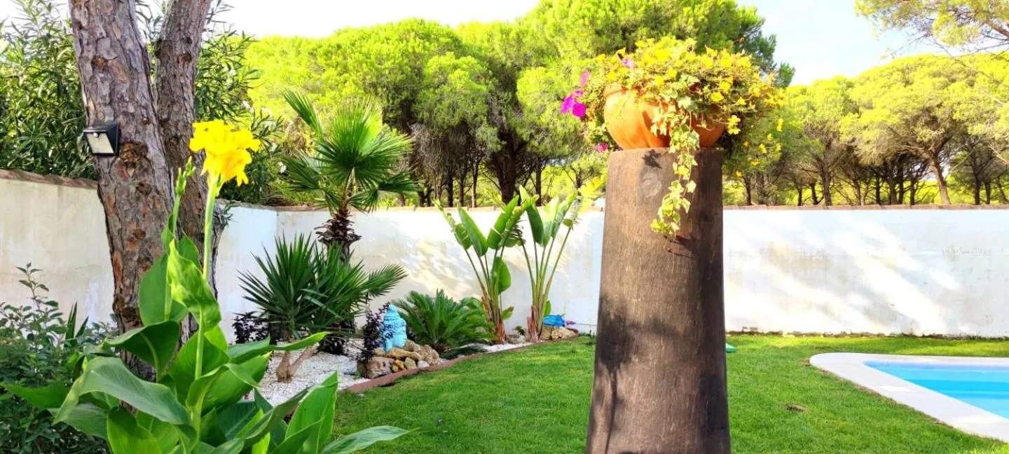 Garden in Villa Zahara