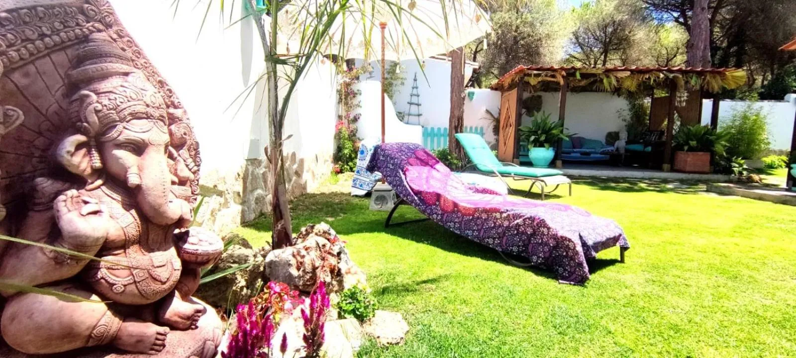 Garden in Villa Zahara