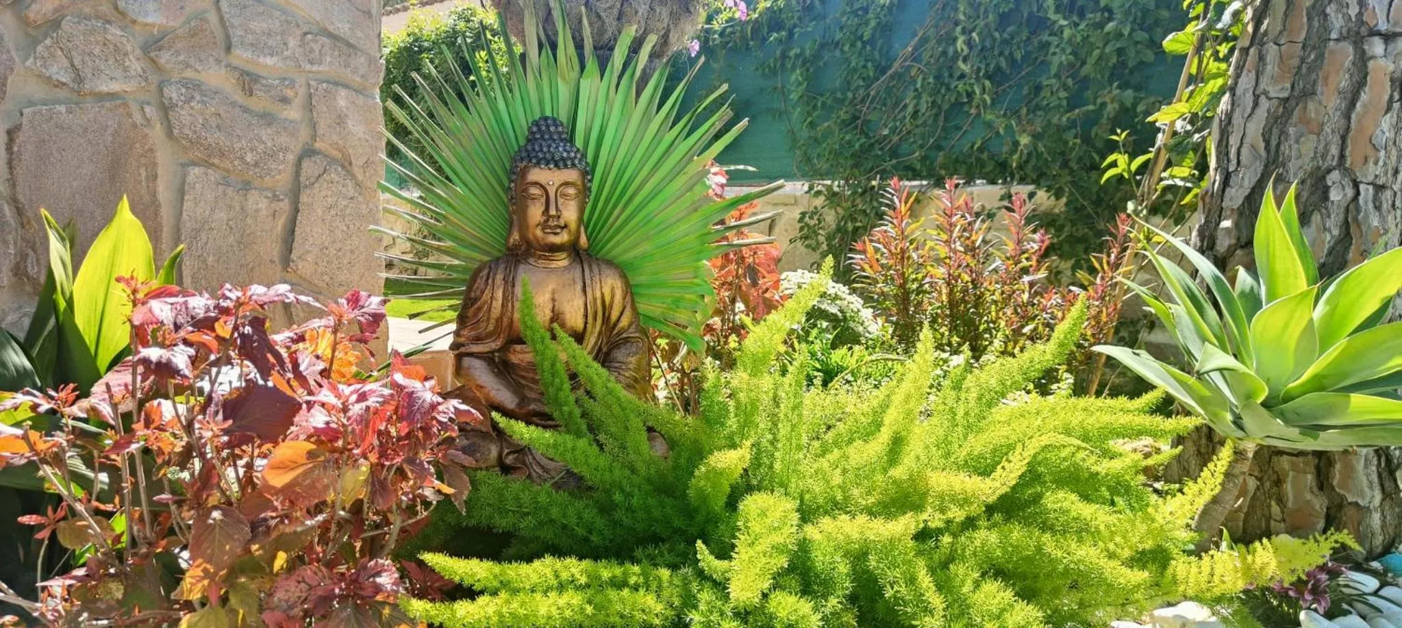 Garden in Villa Zahara