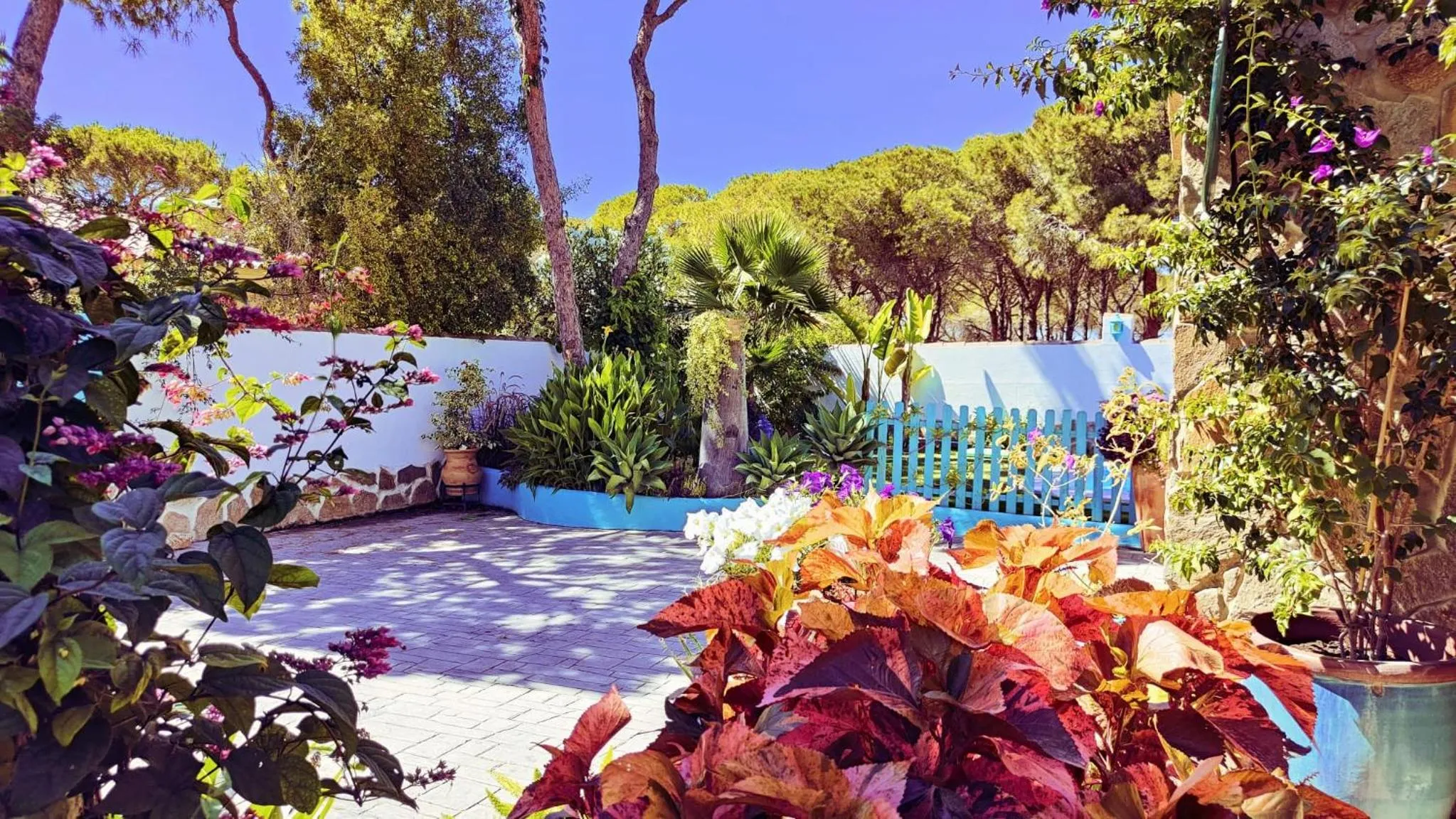 Garden in Villa Zahara