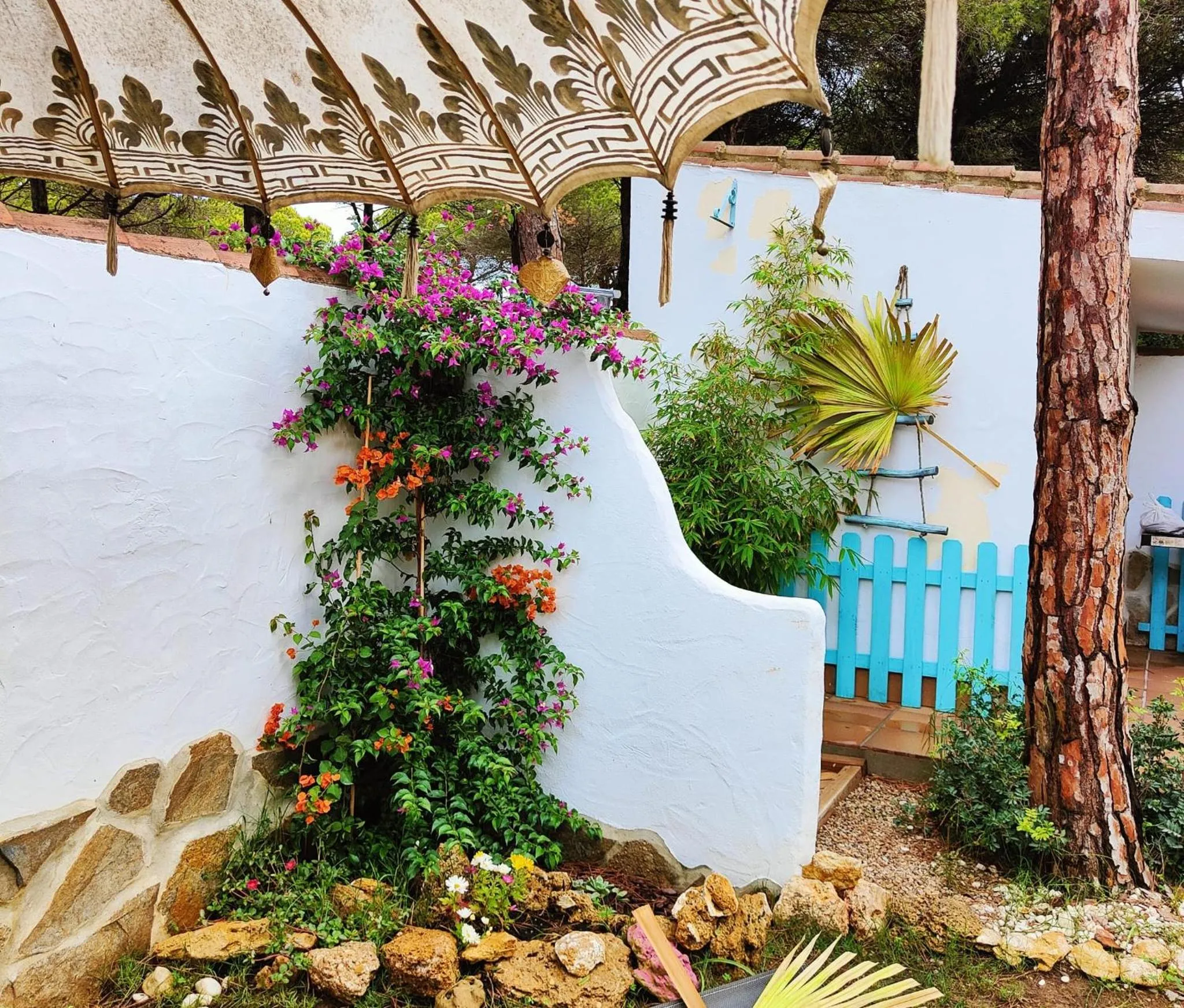 Garden in Villa Zahara